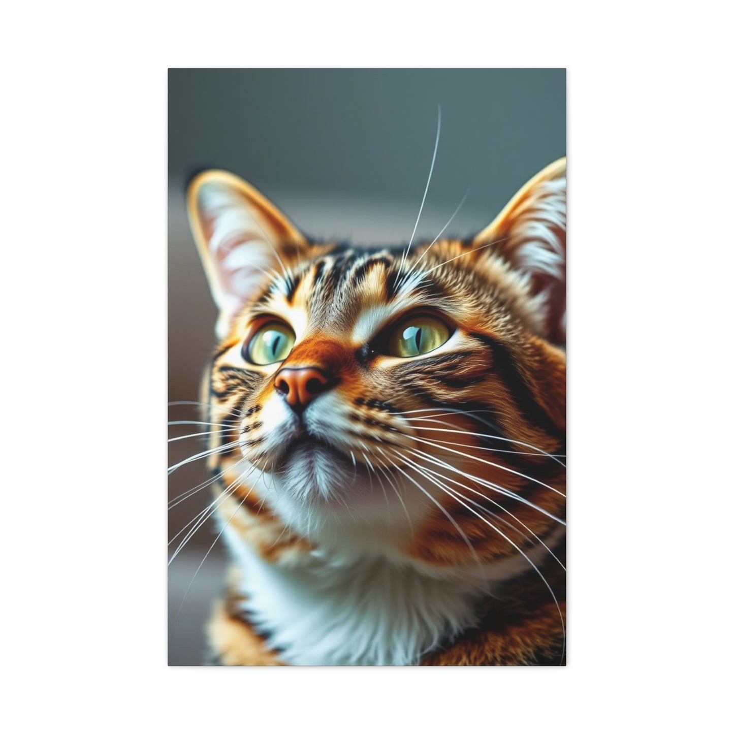 Supreme Tabby Cat Art Collection Wall Art & Canvas Print