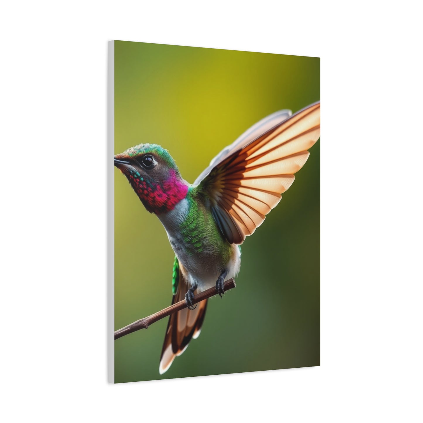 Collection Humming Bird Art Art Wall Art & Canvas Print