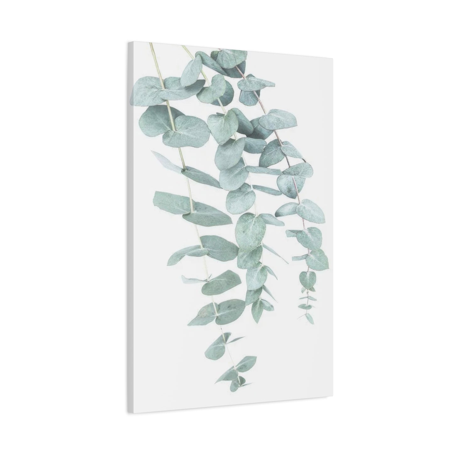 Kathrin Pienaar Eucalyptus Wall Art & Canvas Prints