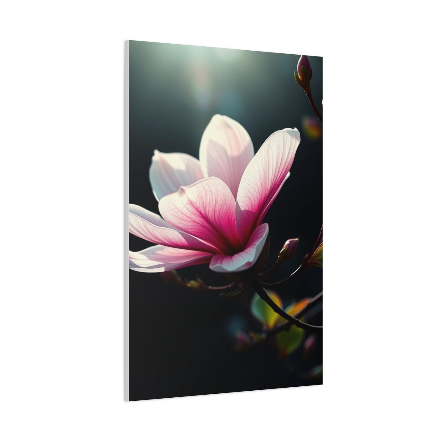 Vision Magnolia Art Art Wall Art & Canvas Print