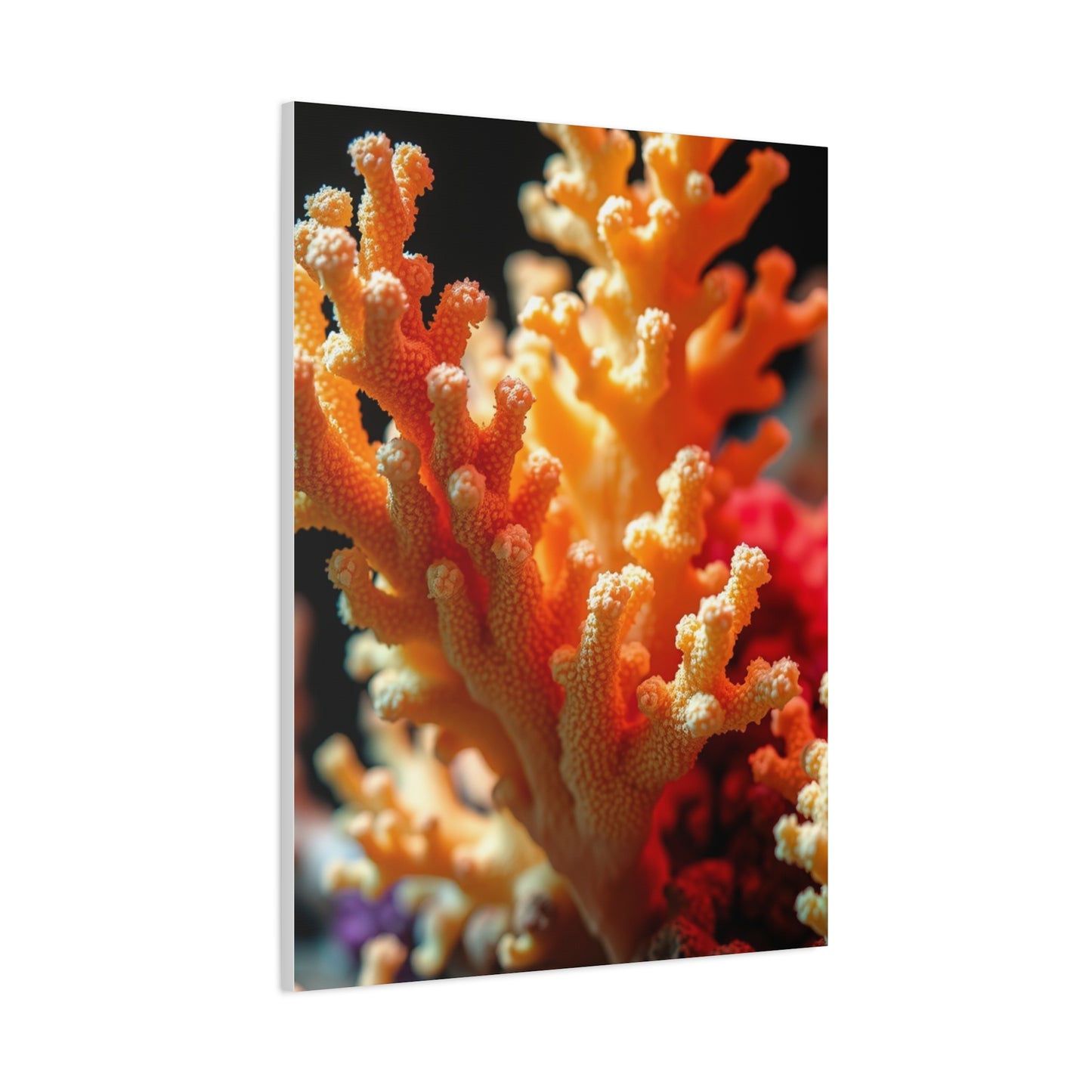 Elite Coral Art Vision Wall Art & Canvas Print
