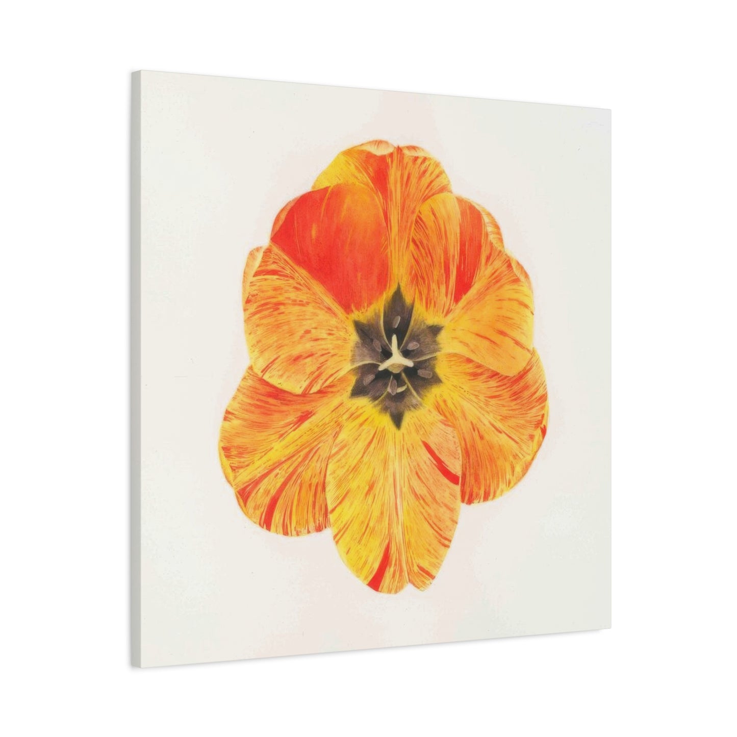 Grace Popp Orange Flower Head Wall Art & Canvas Prints