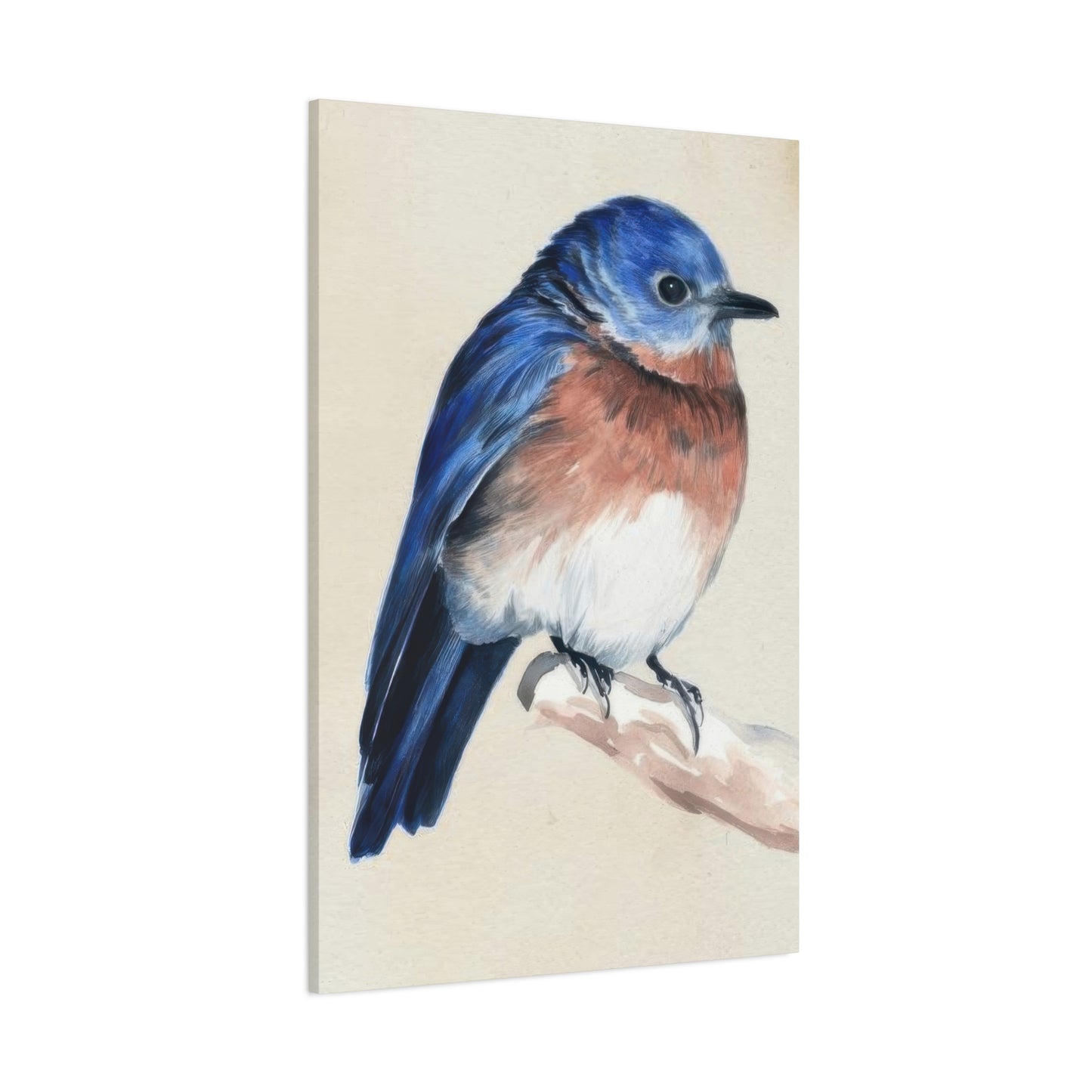 Jennifer Paxton Parker Little Bird On Branch 1 Wall Art & Canvas Prints