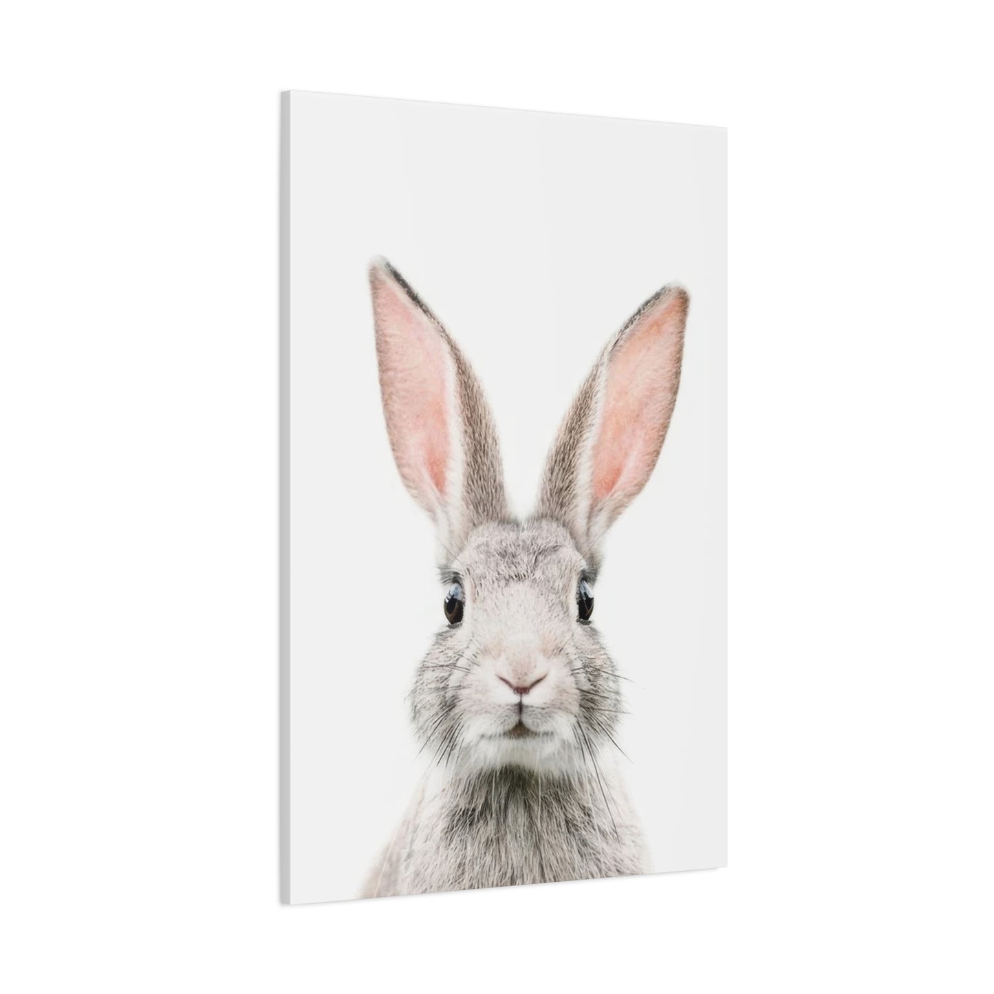 Kathrin Pienaar Bunny Face Wall Art & Canvas Prints