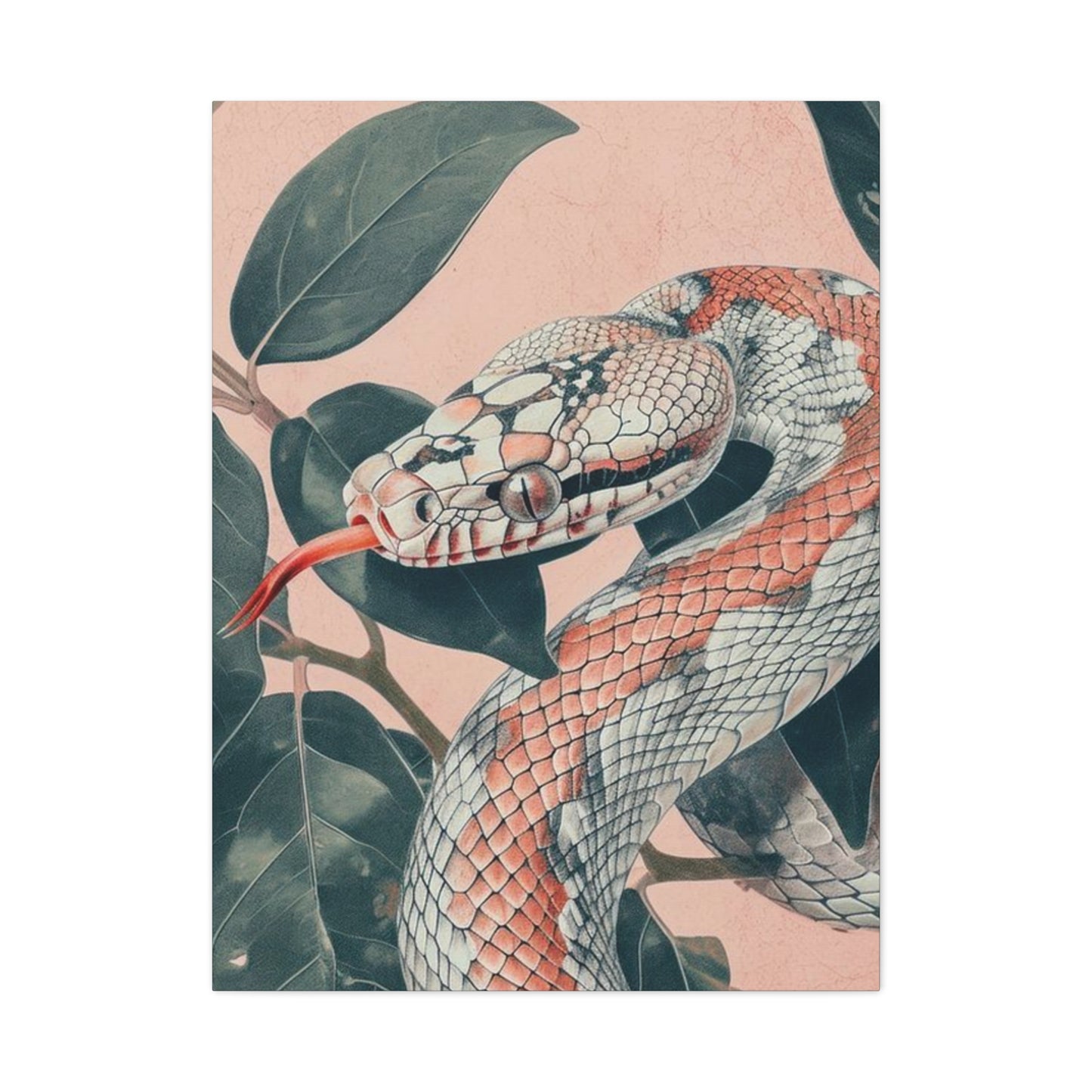 White And Pink Snake Wall Art & Canvas Prints