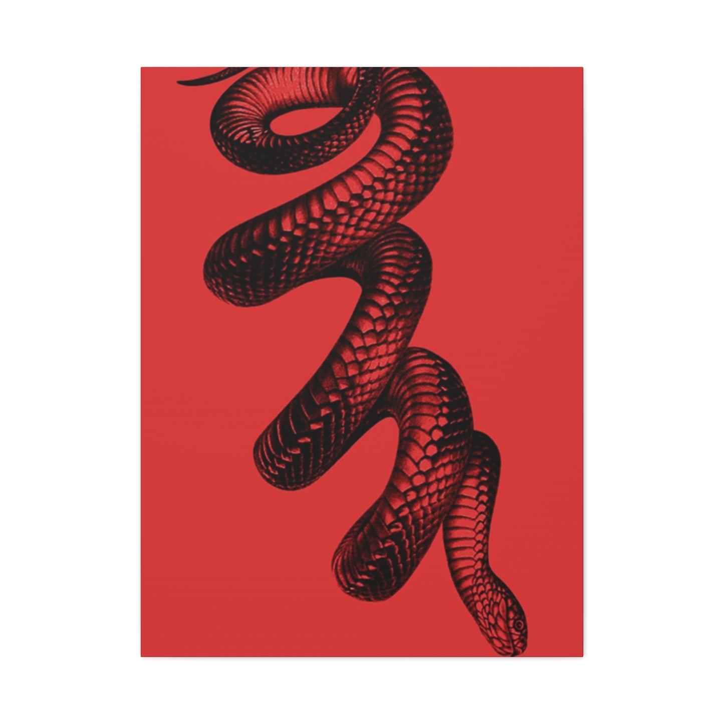 Snake On Red Wall Art & Canvas Prints