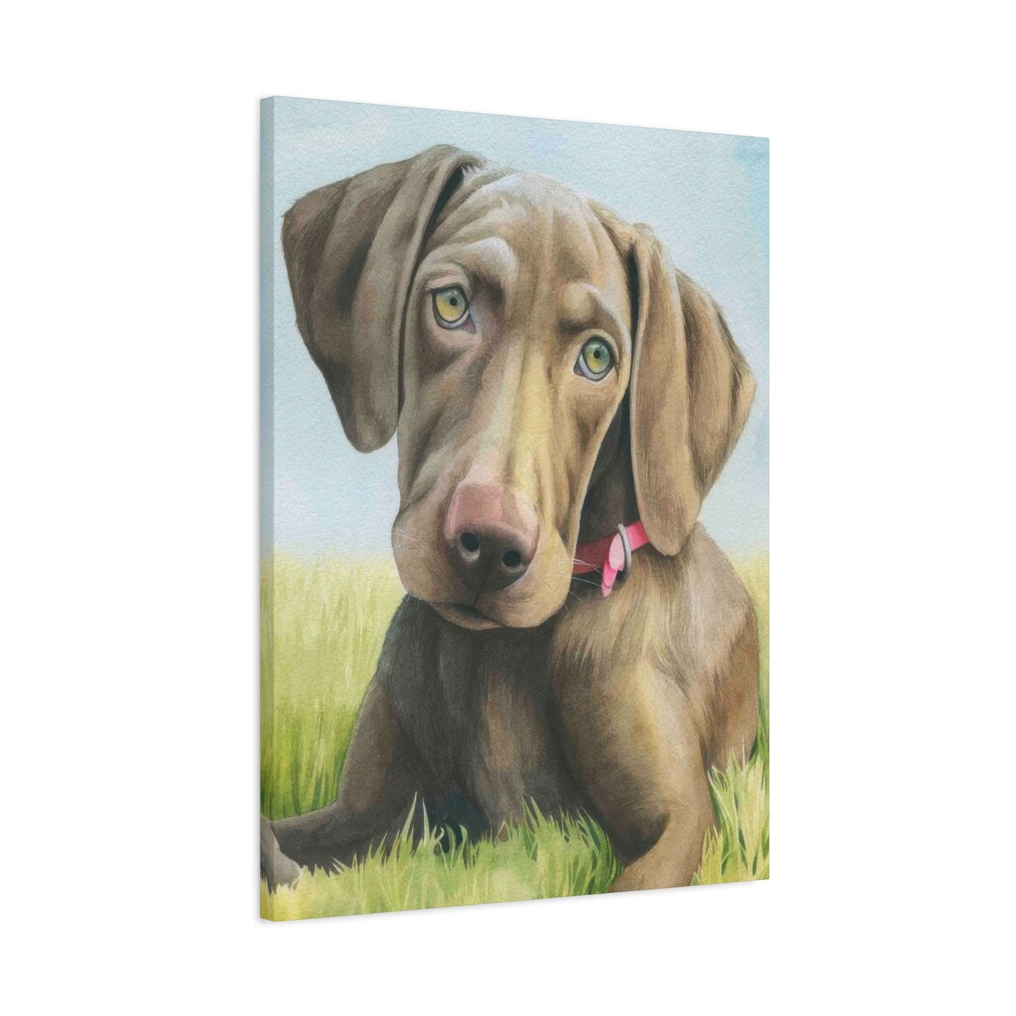 Grace Popp The Dog Wall Art & Canvas Prints