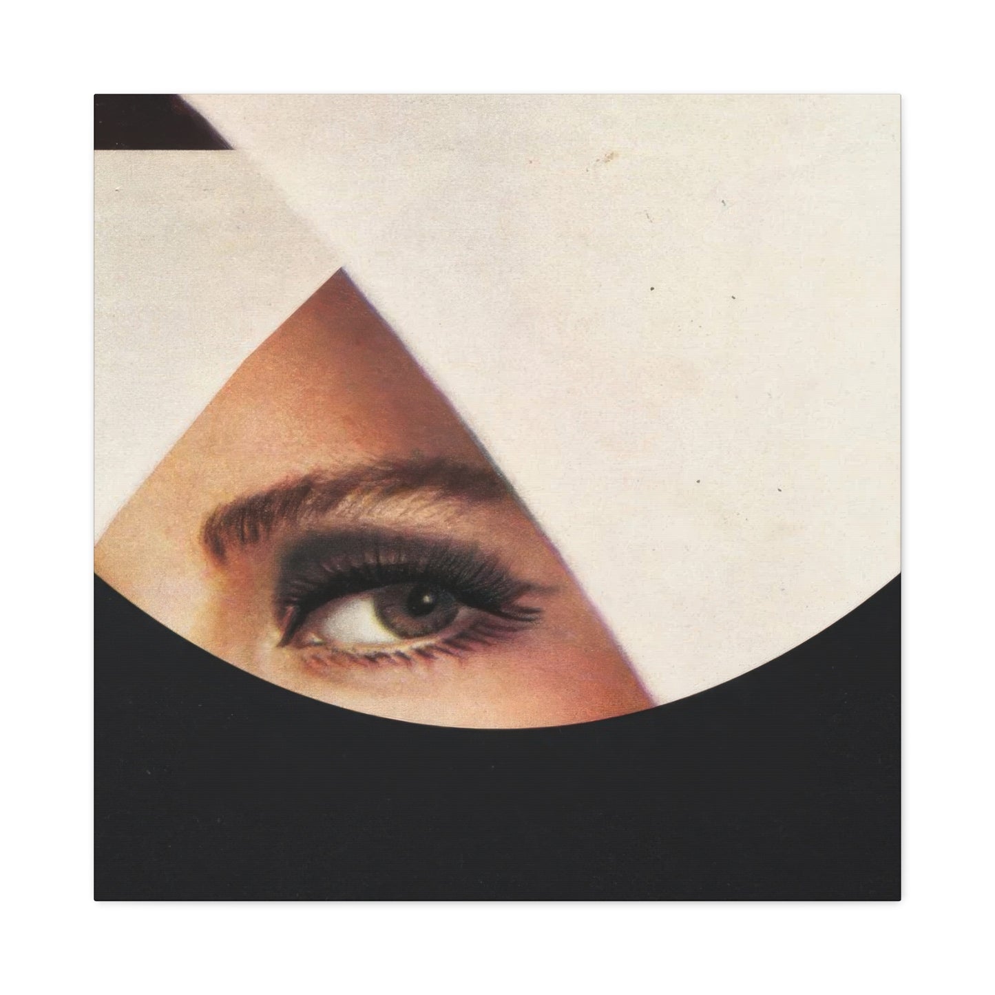 Frank Moth Mind Gazing Wall Art & Canvas Prints