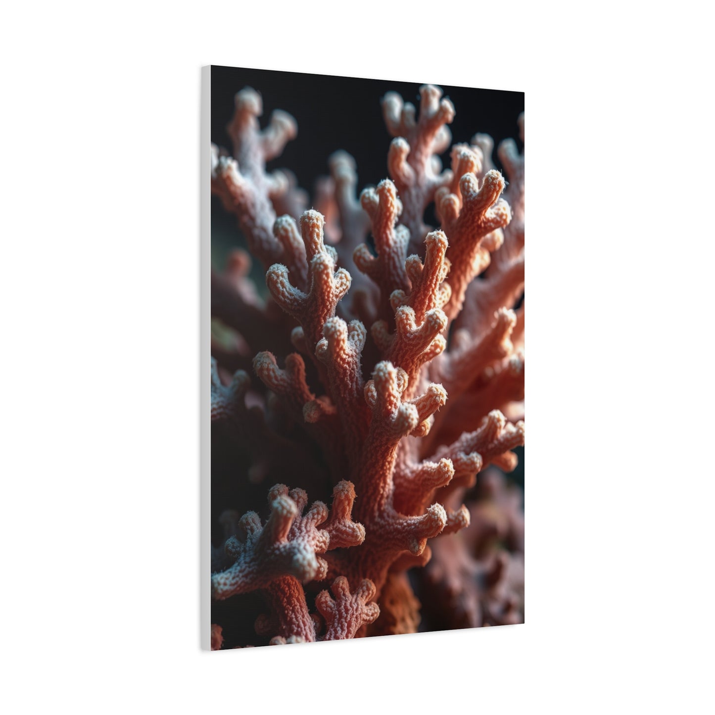 Coral Art Luxury Canvas Wall Art & Canvas Print