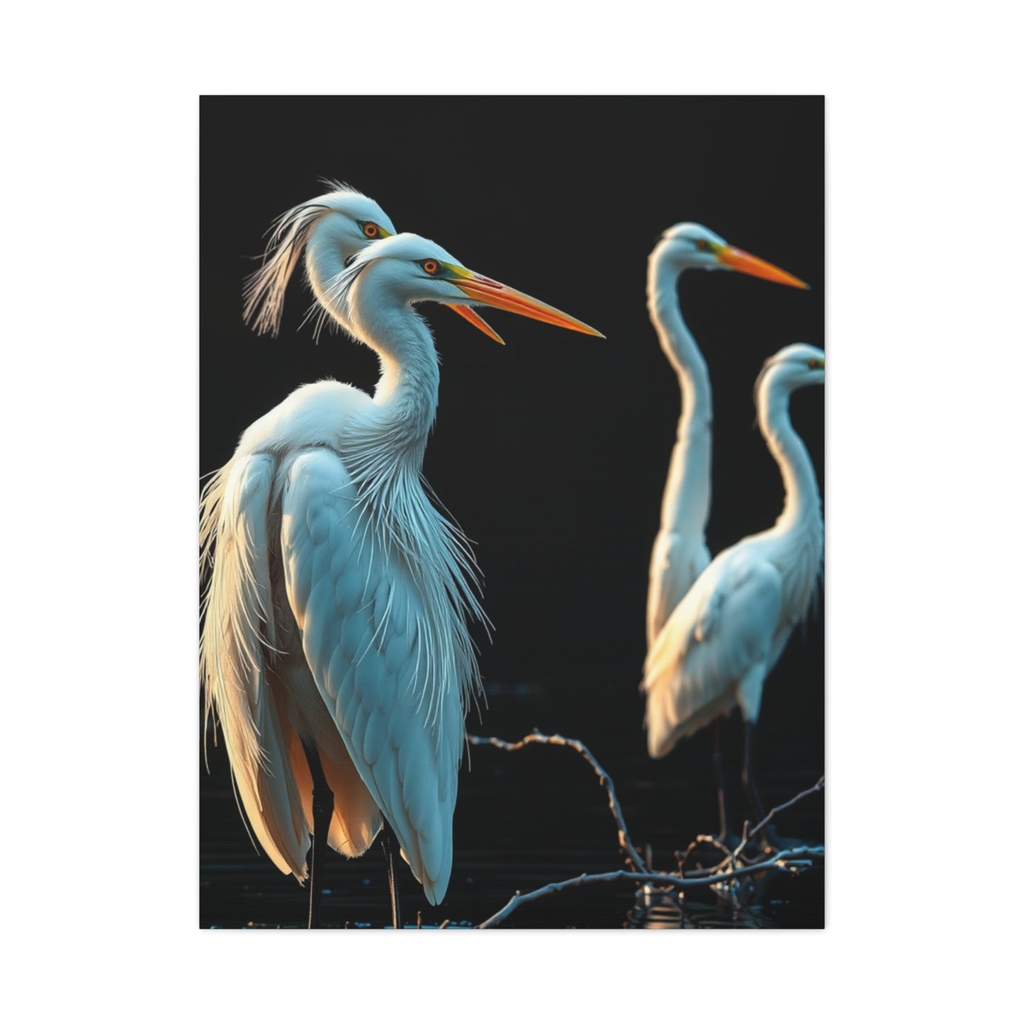 Collection Herons and Egrets Art Art Wall Art & Canvas Print