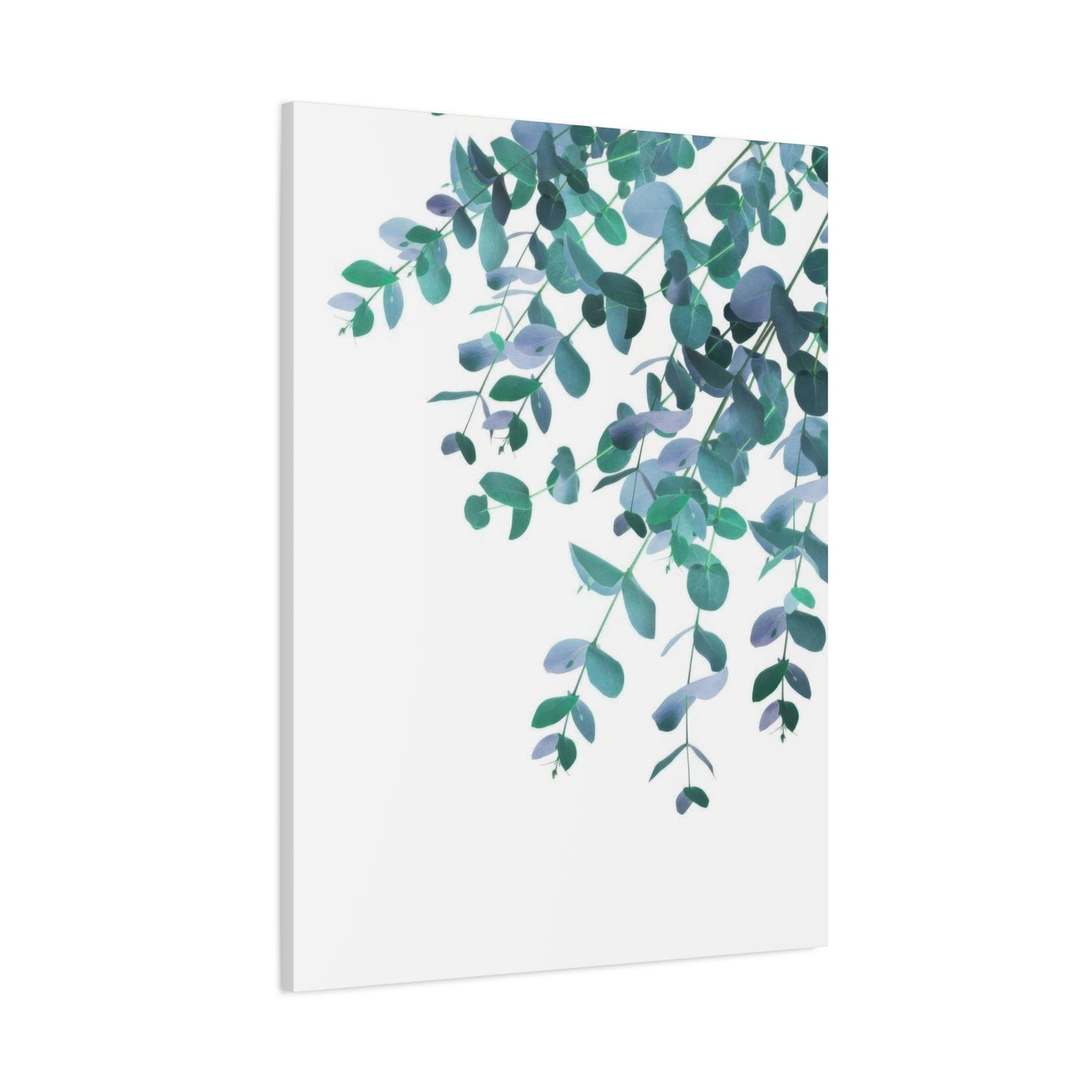 Eucalyptus Creeping Down Top Right Wall Art & Canvas Prints