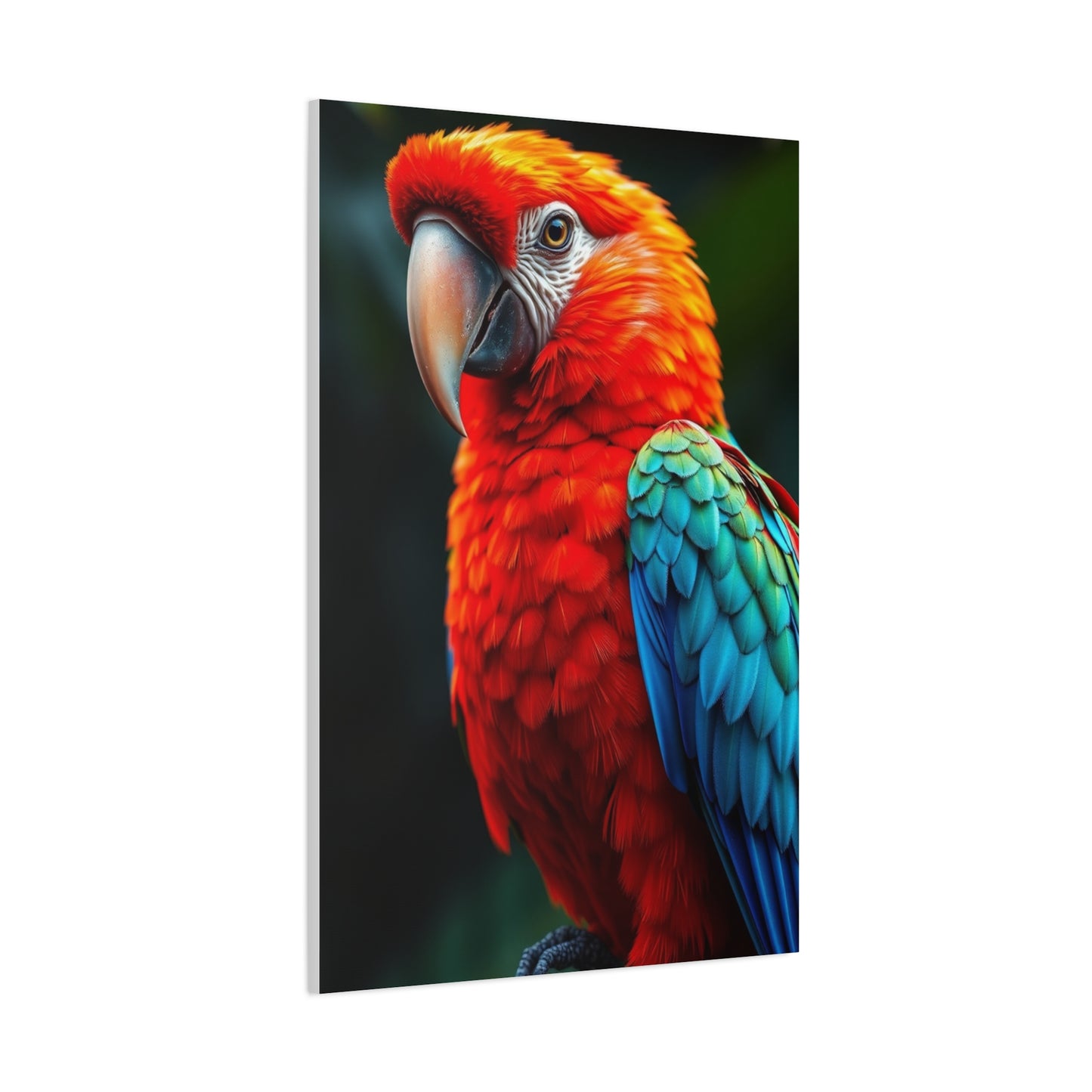Supreme Tropical Birds Art Collection Wall Art & Canvas Print