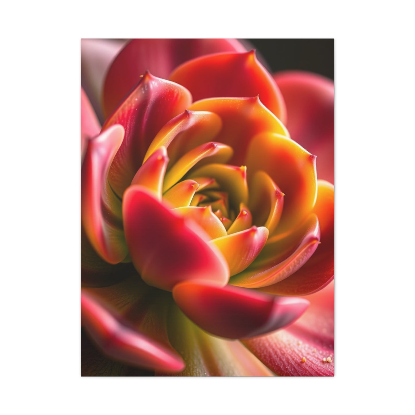 Supreme Succulent Art Collection Wall Art & Canvas Print