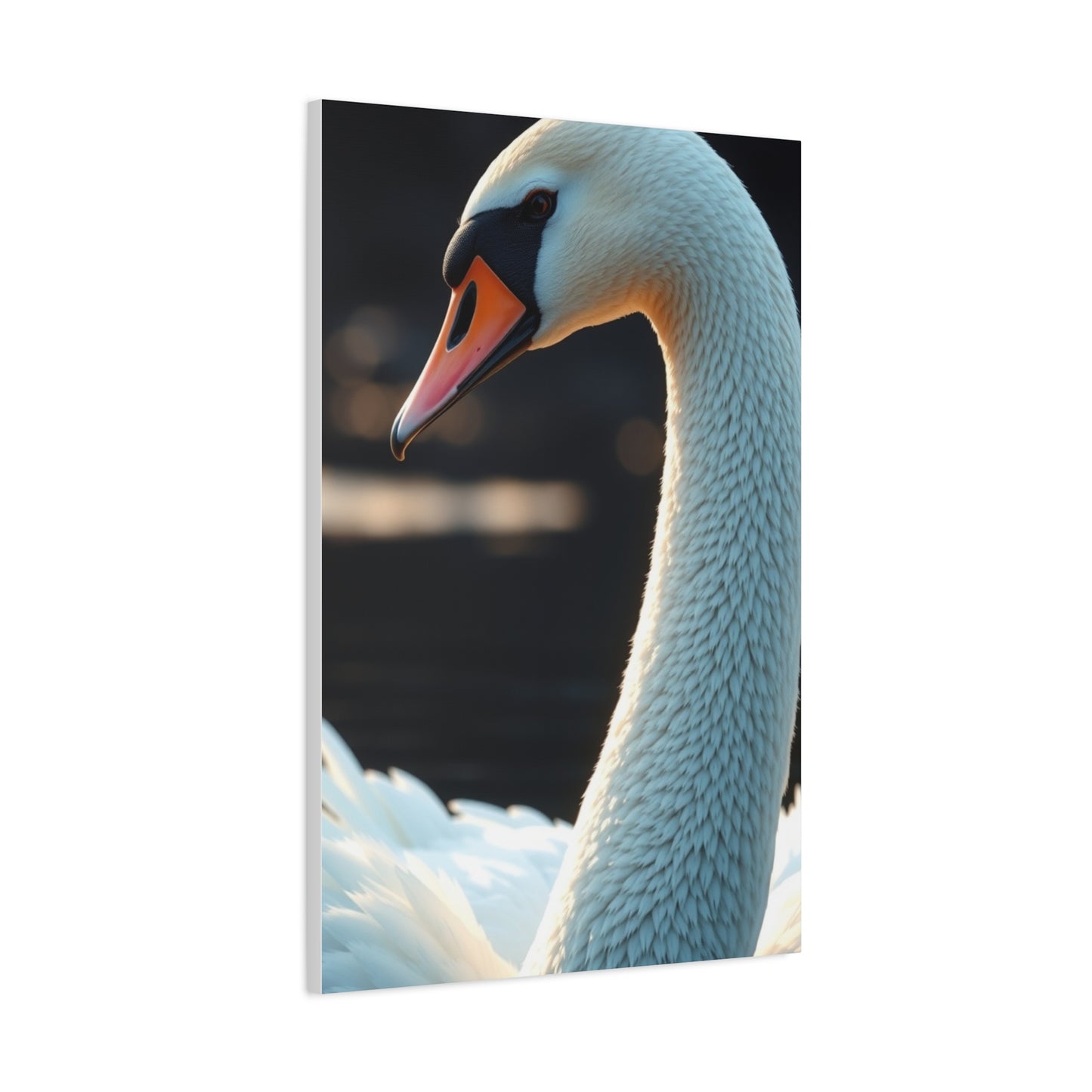 Swan Art Luxury Canvas Wall Art & Canvas Print