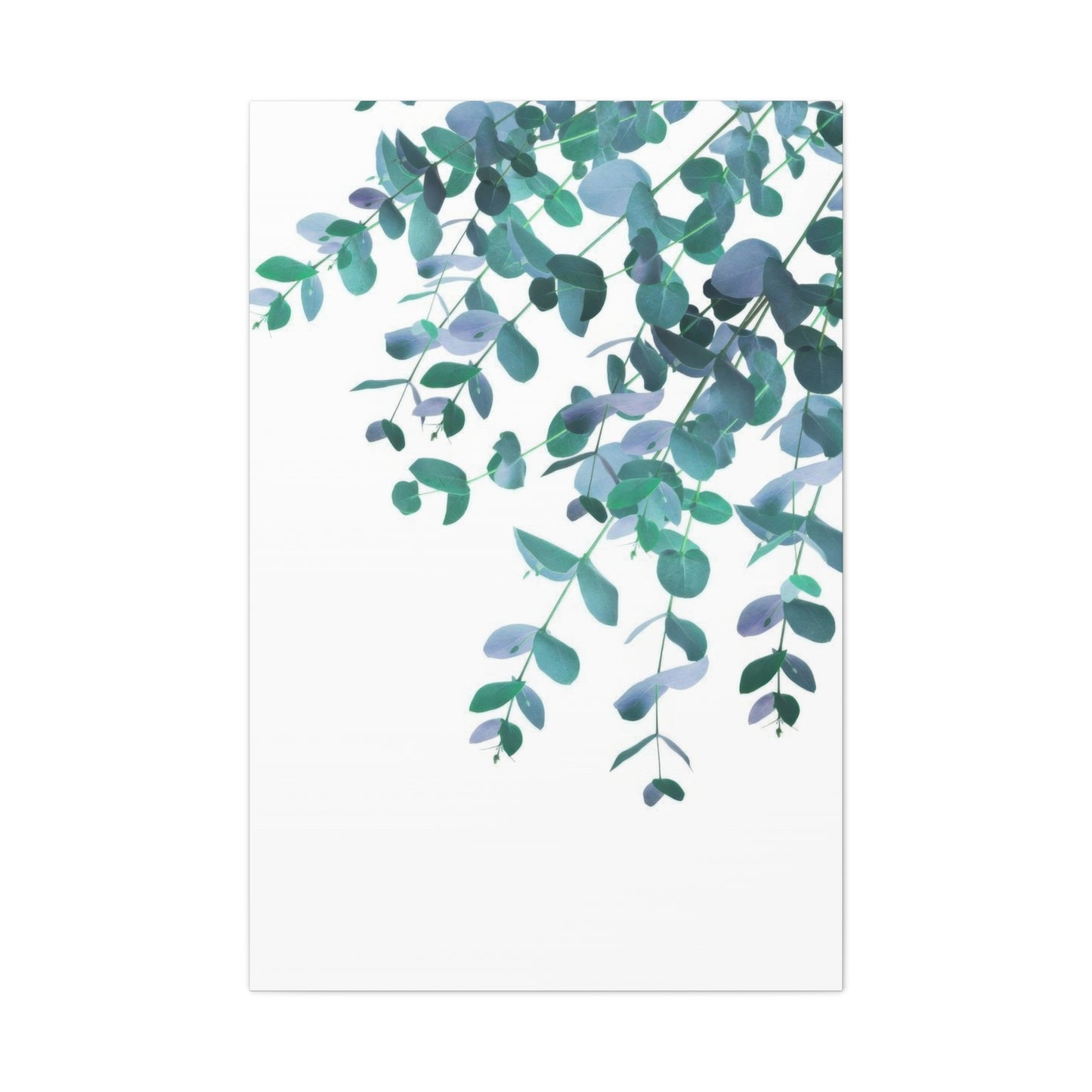 Eucalyptus Creeping Down Top Right Wall Art & Canvas Prints
