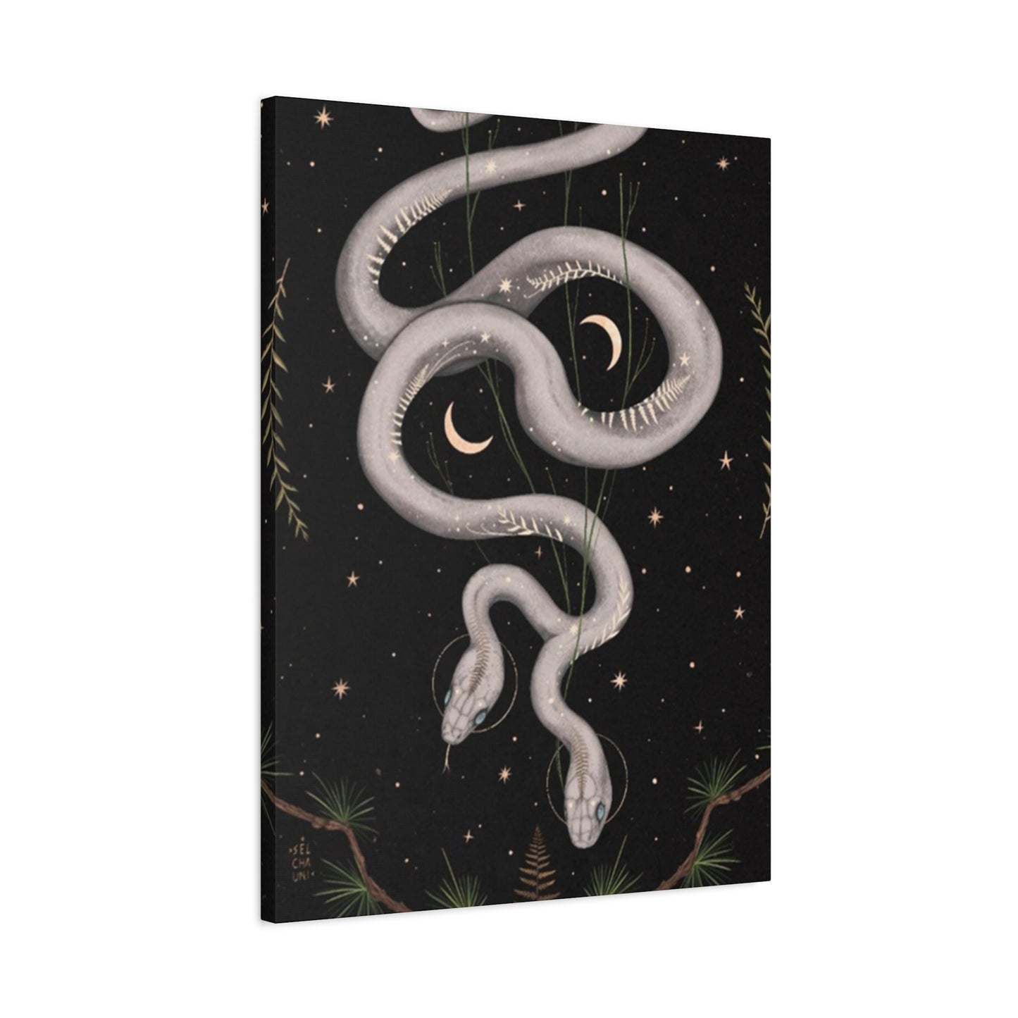 Two Faced Snake Wall Art & Canvas Prints
