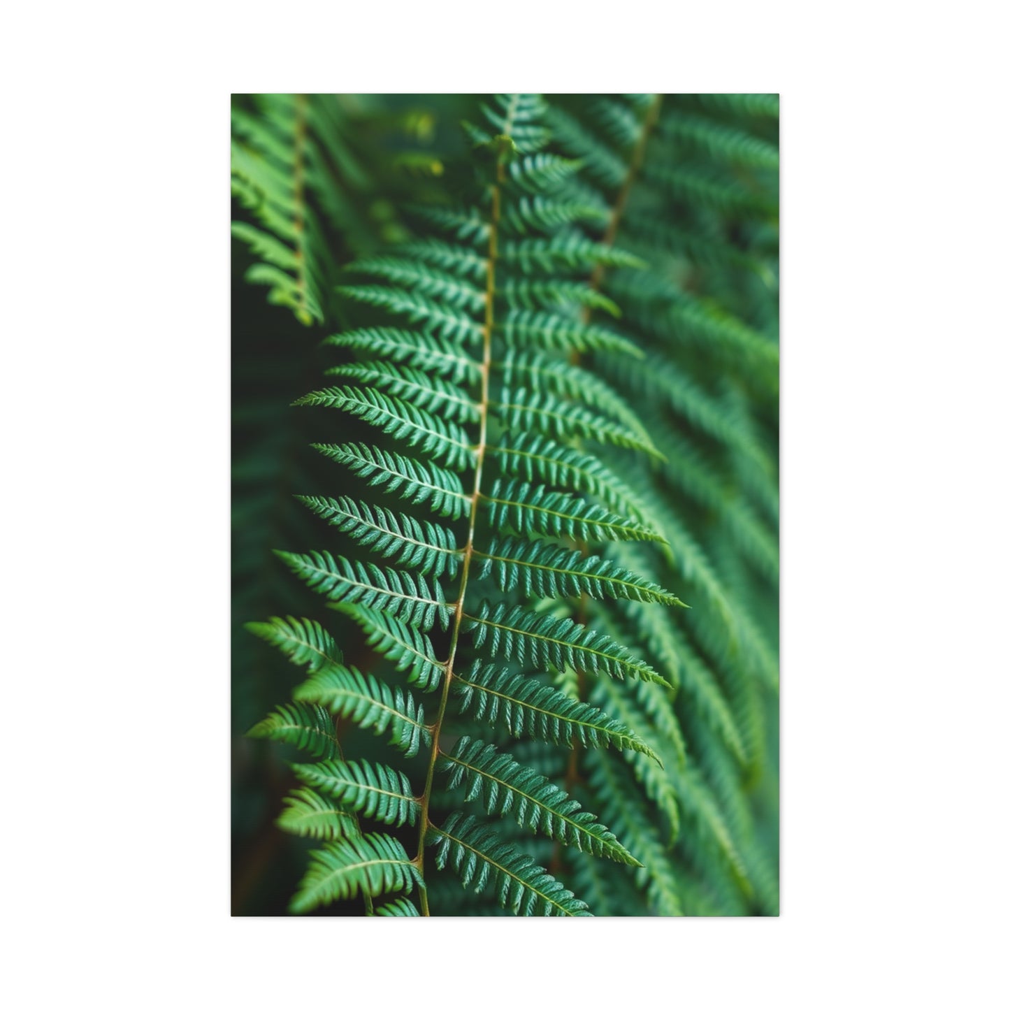 Elite Fern Art Vision Wall Art & Canvas Print