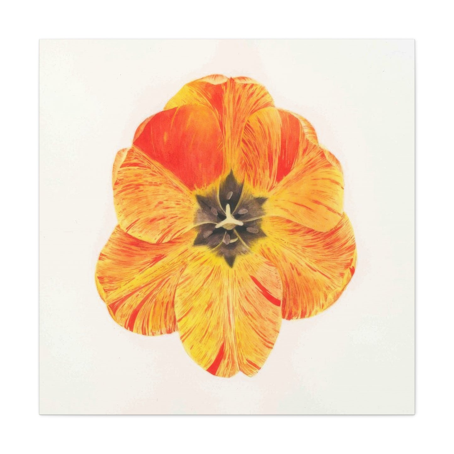 Grace Popp Orange Flower Head Wall Art & Canvas Prints