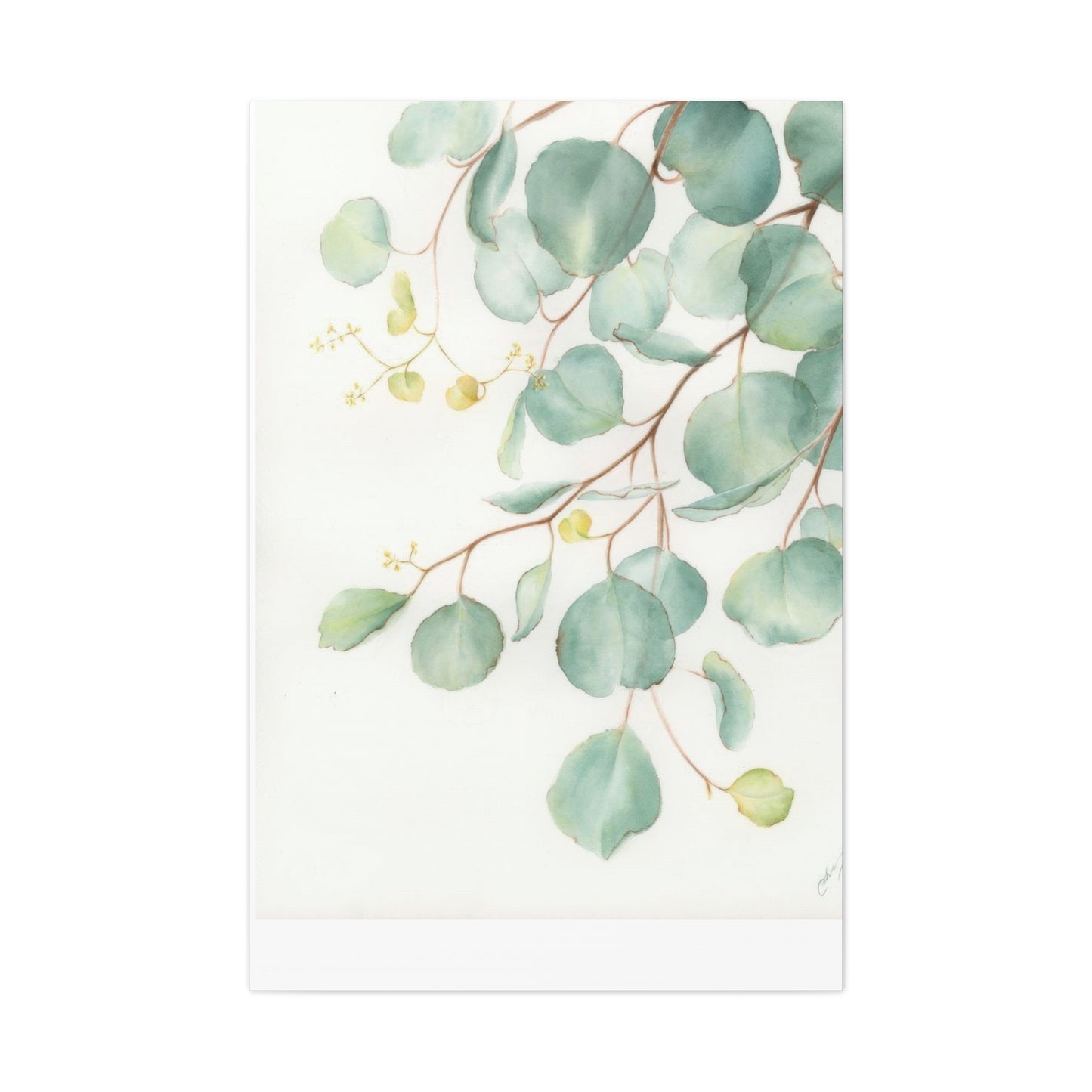 Eucalyptus Creeping Top Down Right Wall Art & Canvas Prints