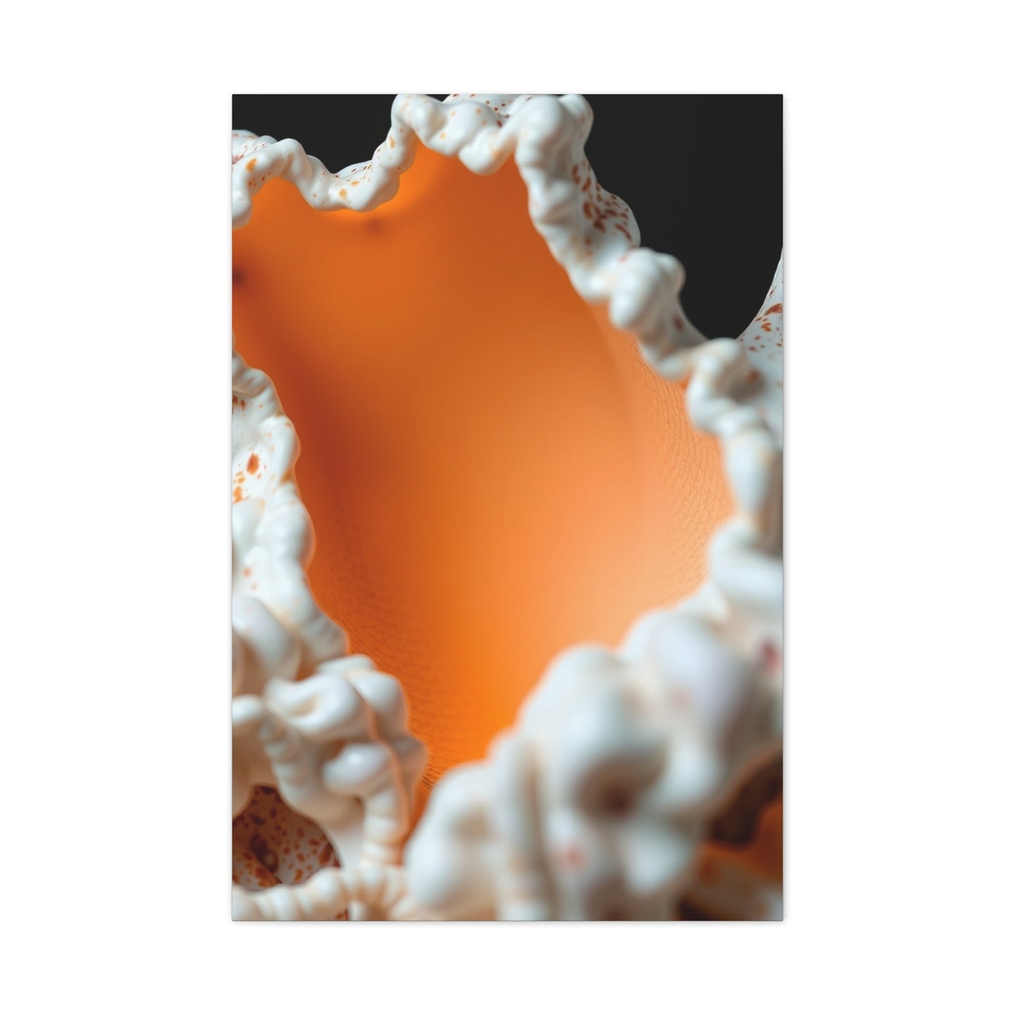 Supreme Sea Shell Art Collection Wall Art & Canvas Print