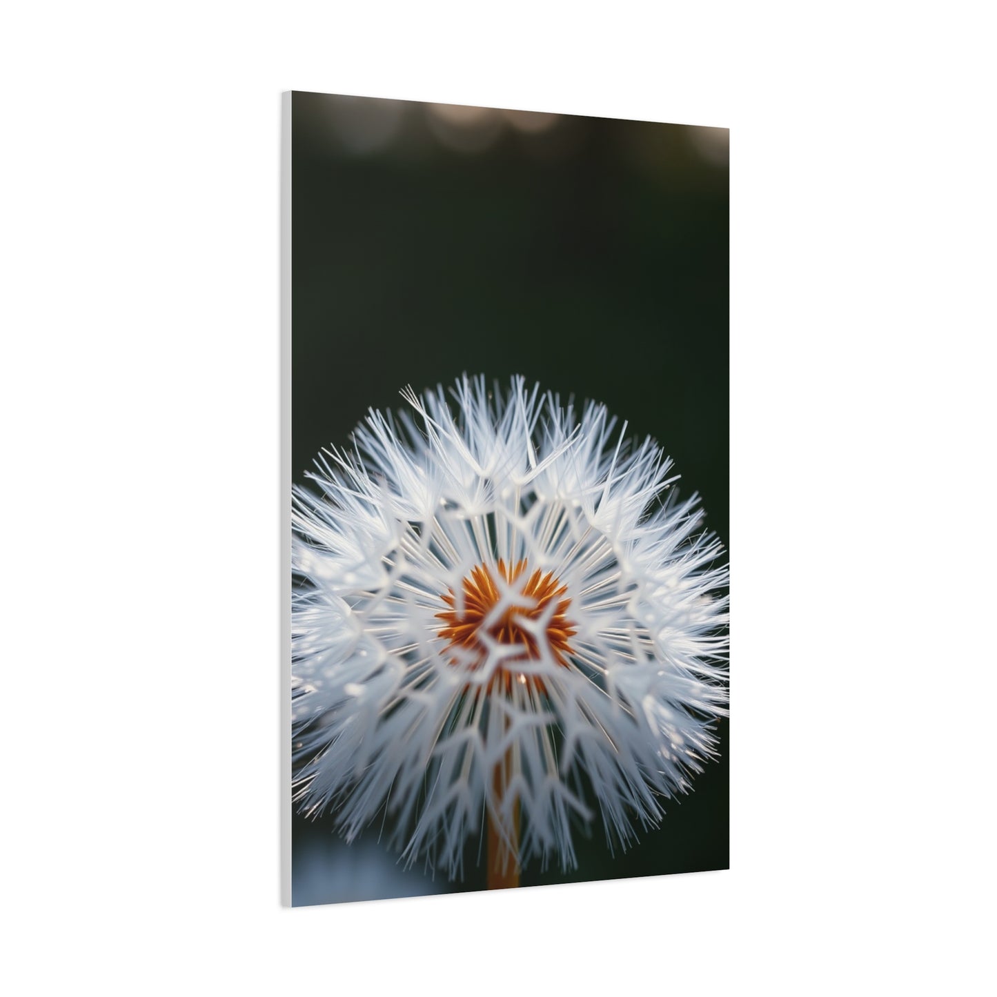 Elite Dandelion Flower Art Vision Wall Art & Canvas Print