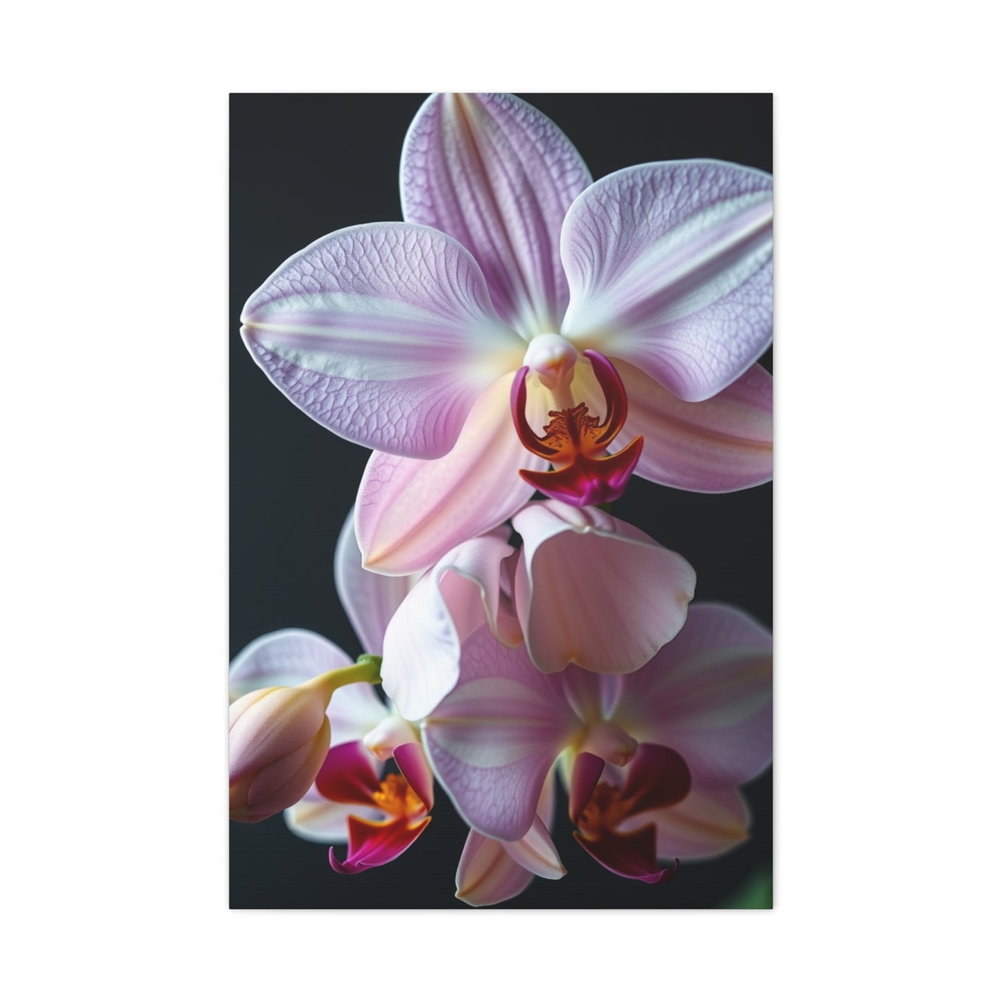 Collection Orchid Flower Art Art Wall Art & Canvas Print