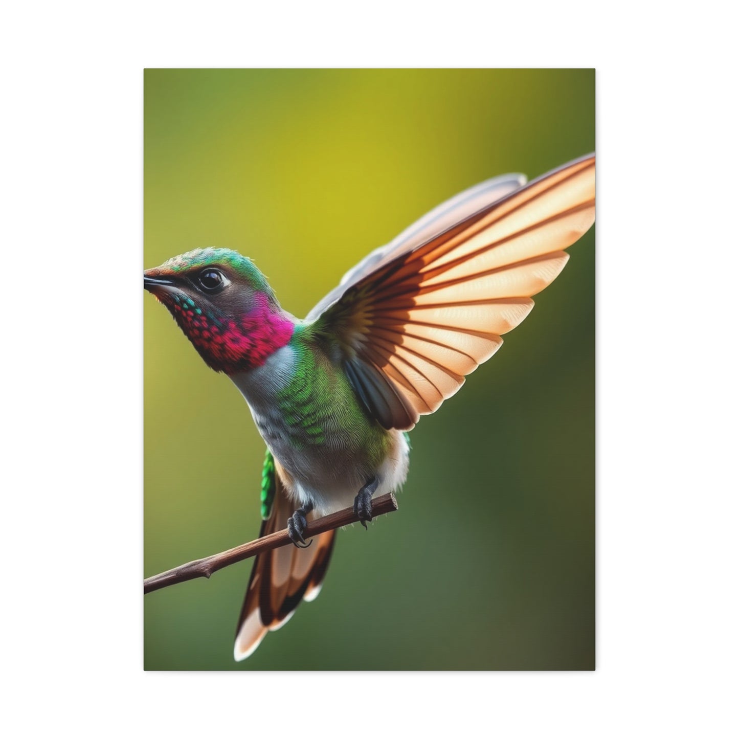 Collection Humming Bird Art Art Wall Art & Canvas Print
