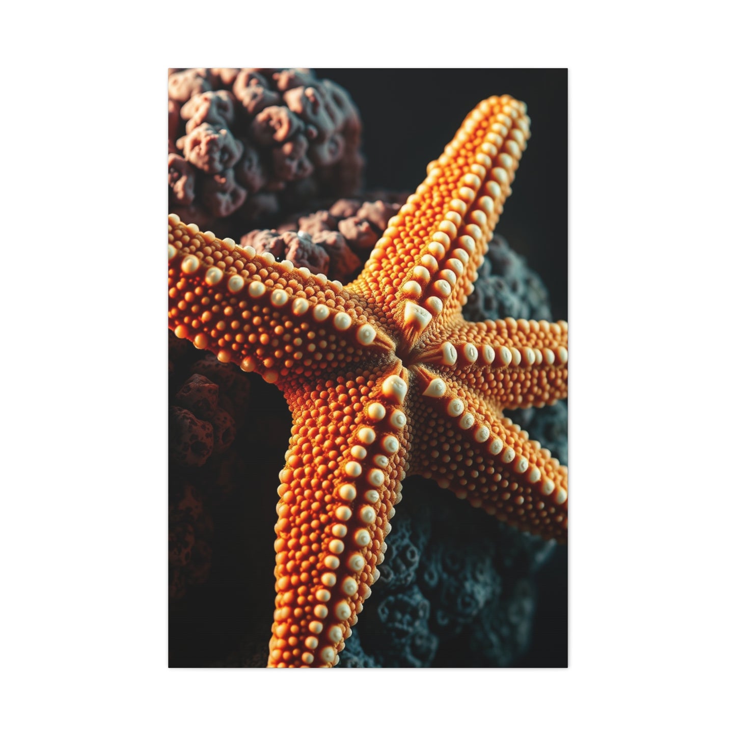Collection Starfish Art Art Wall Art & Canvas Print