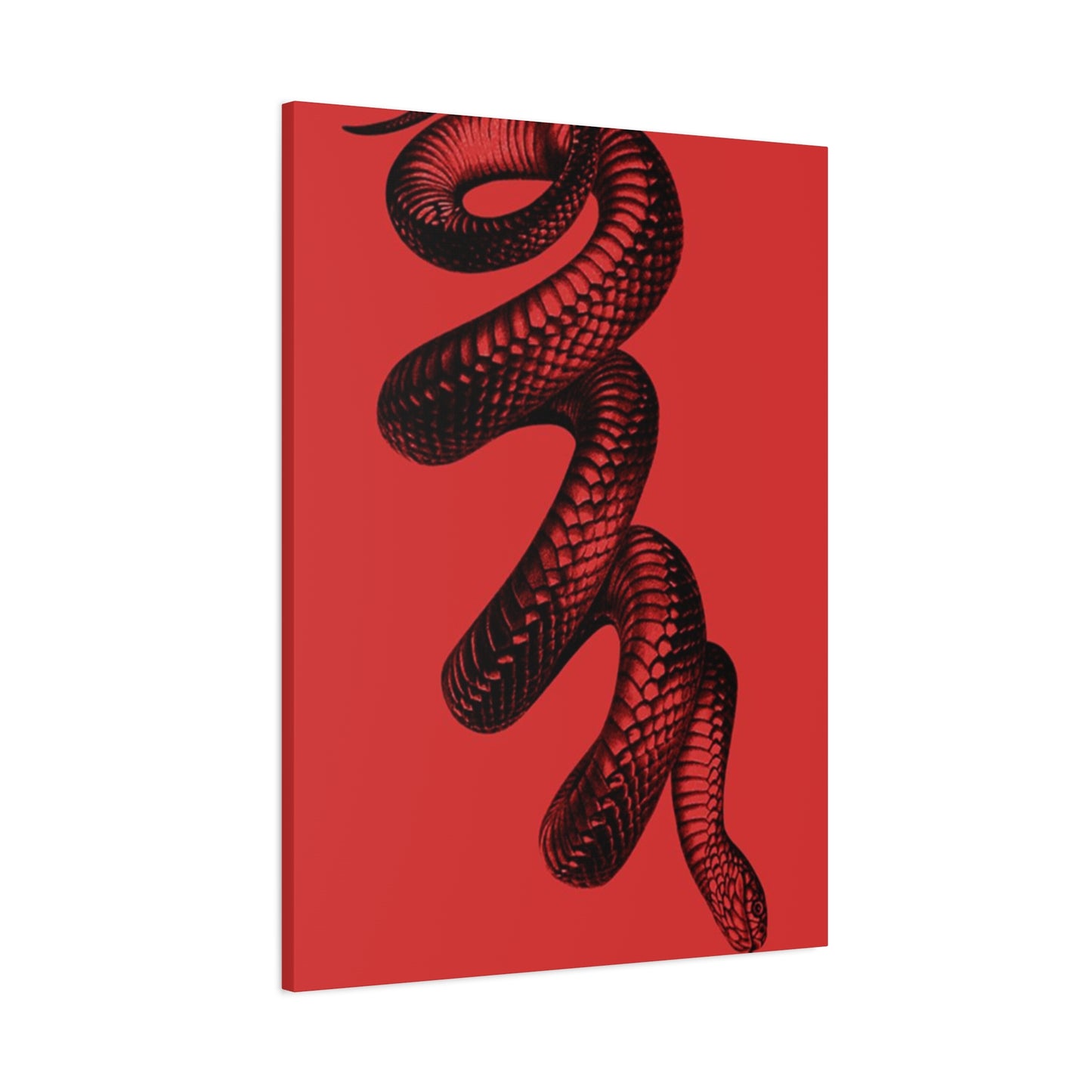 Snake On Red Wall Art & Canvas Prints