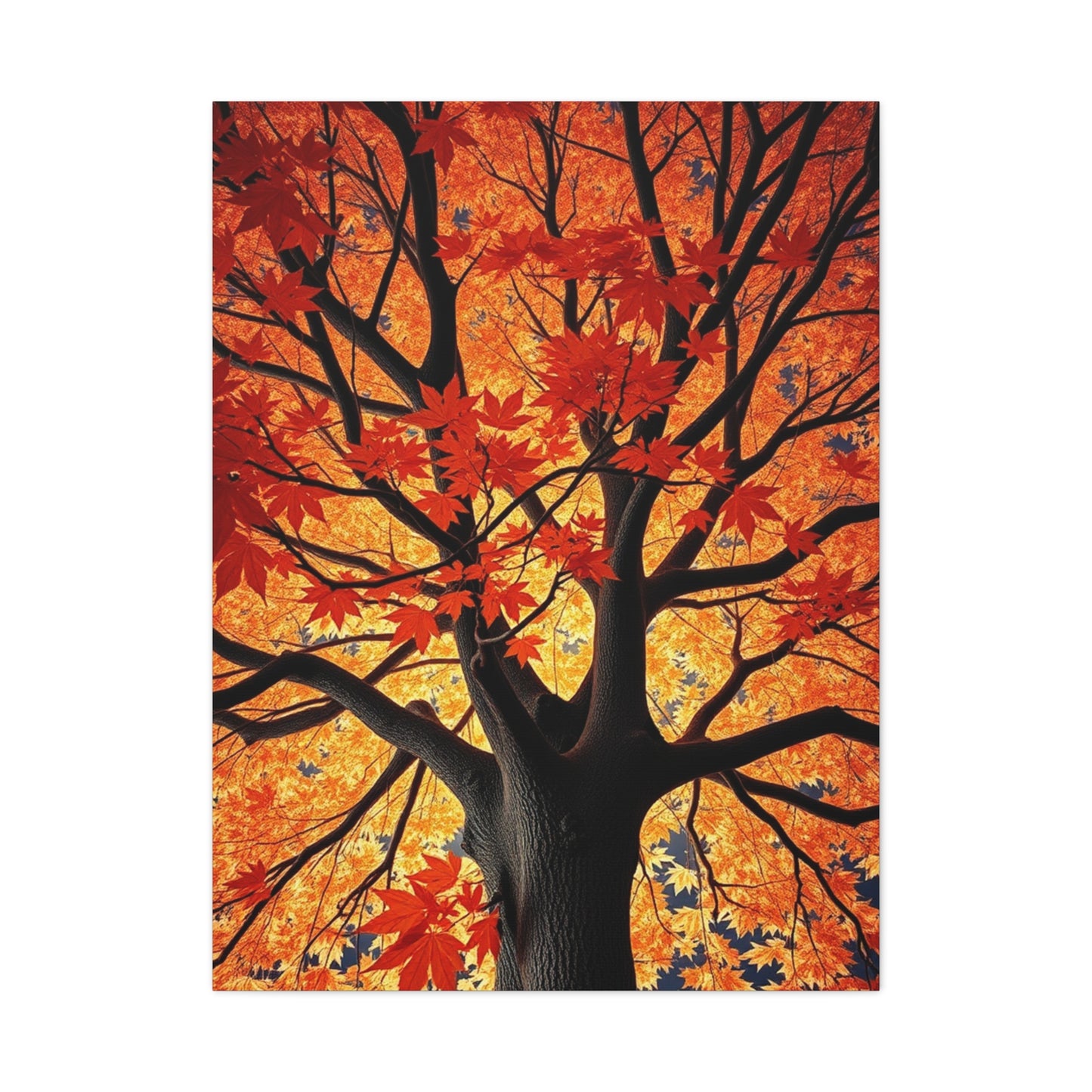 Collection Maple Tree Art Art Wall Art & Canvas Print