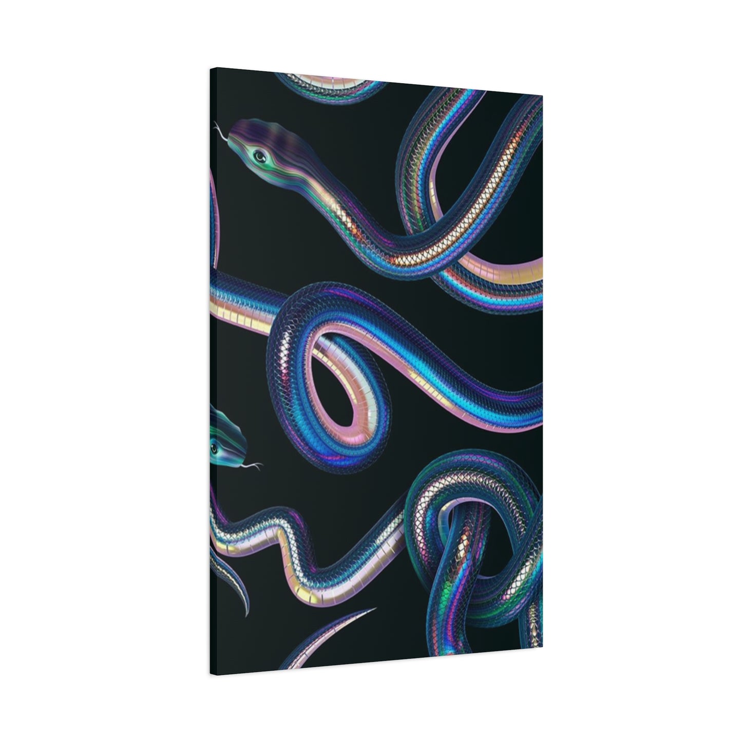 Snake On Black Canvas Wall Art & Canvas Prints