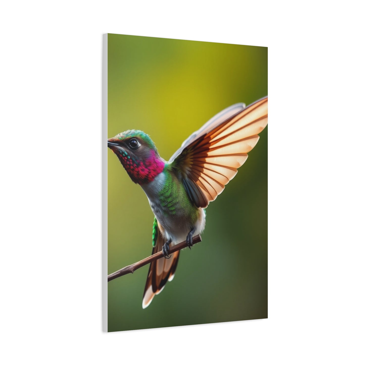 Collection Humming Bird Art Art Wall Art & Canvas Print
