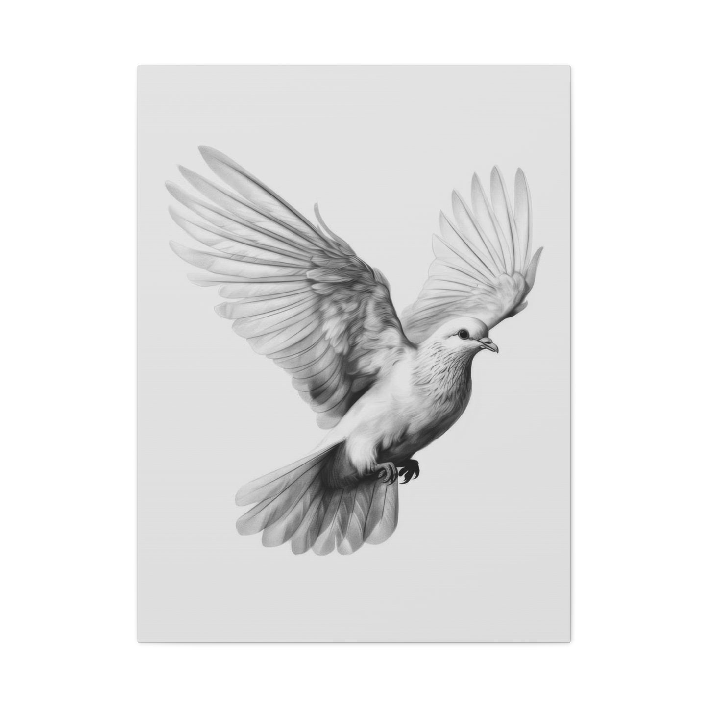 Dove Grey Wall Art & Canvas Prints