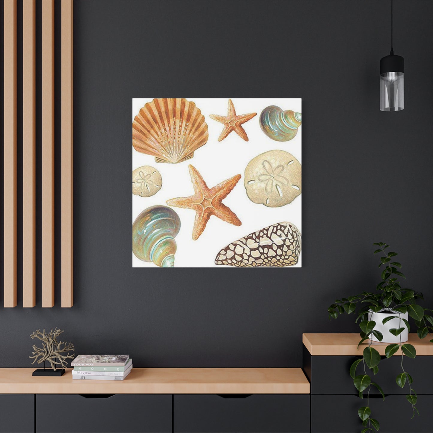 Star Sea Shells Wall Art & Canvas Prints