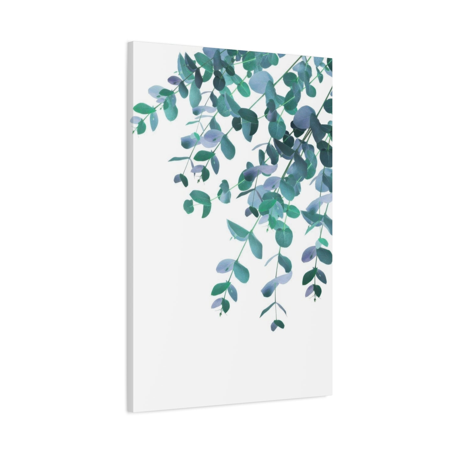 Eucalyptus Creeping Down Top Right Wall Art & Canvas Prints