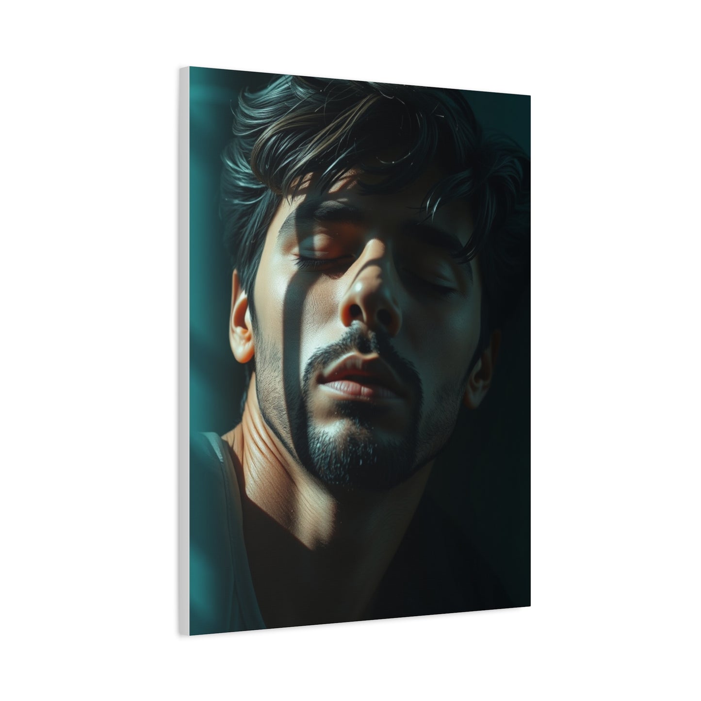 Supreme Sleeping & Napping Art Collection Wall Art & Canvas Print