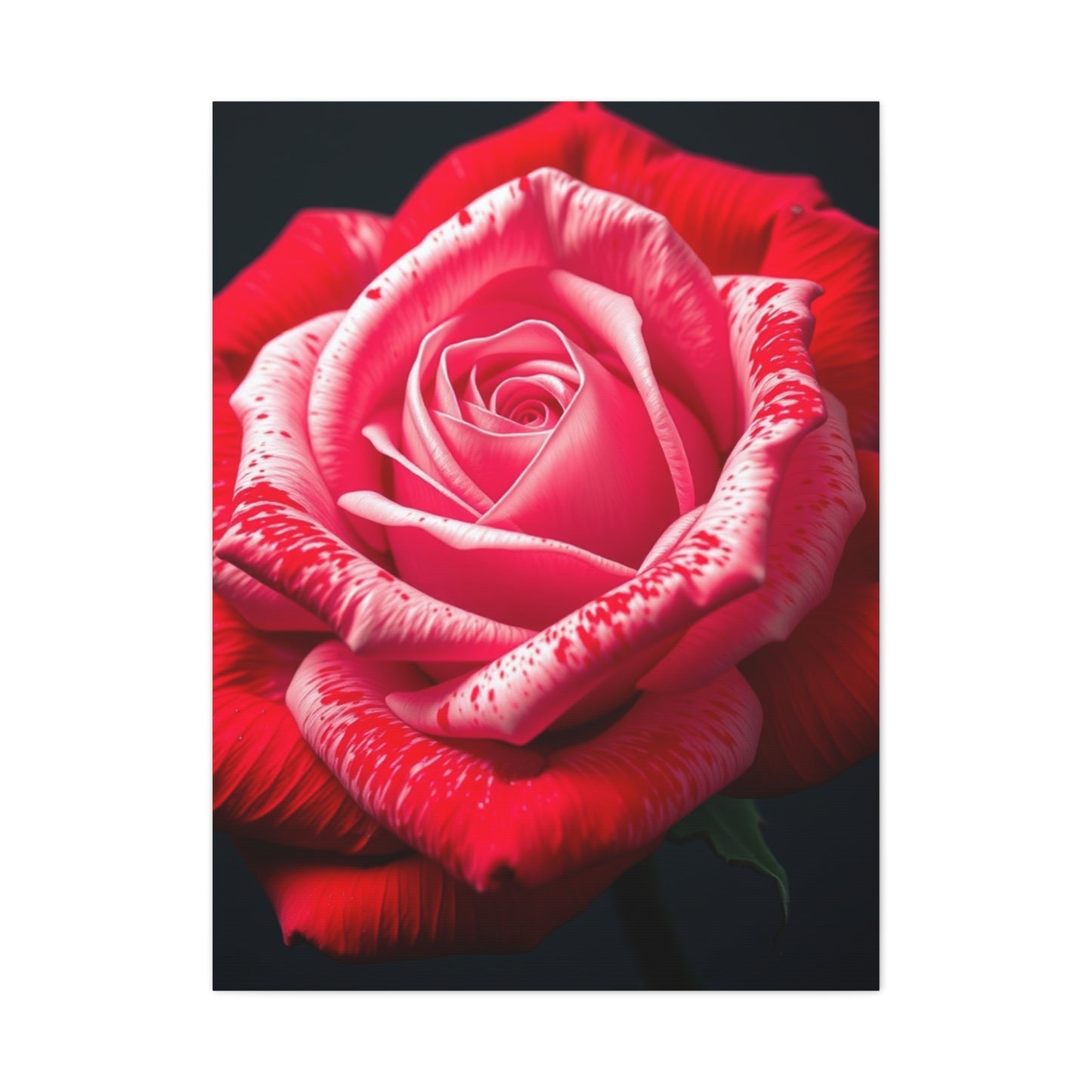 Collection Rose Flower Art Art Wall Art & Canvas Print