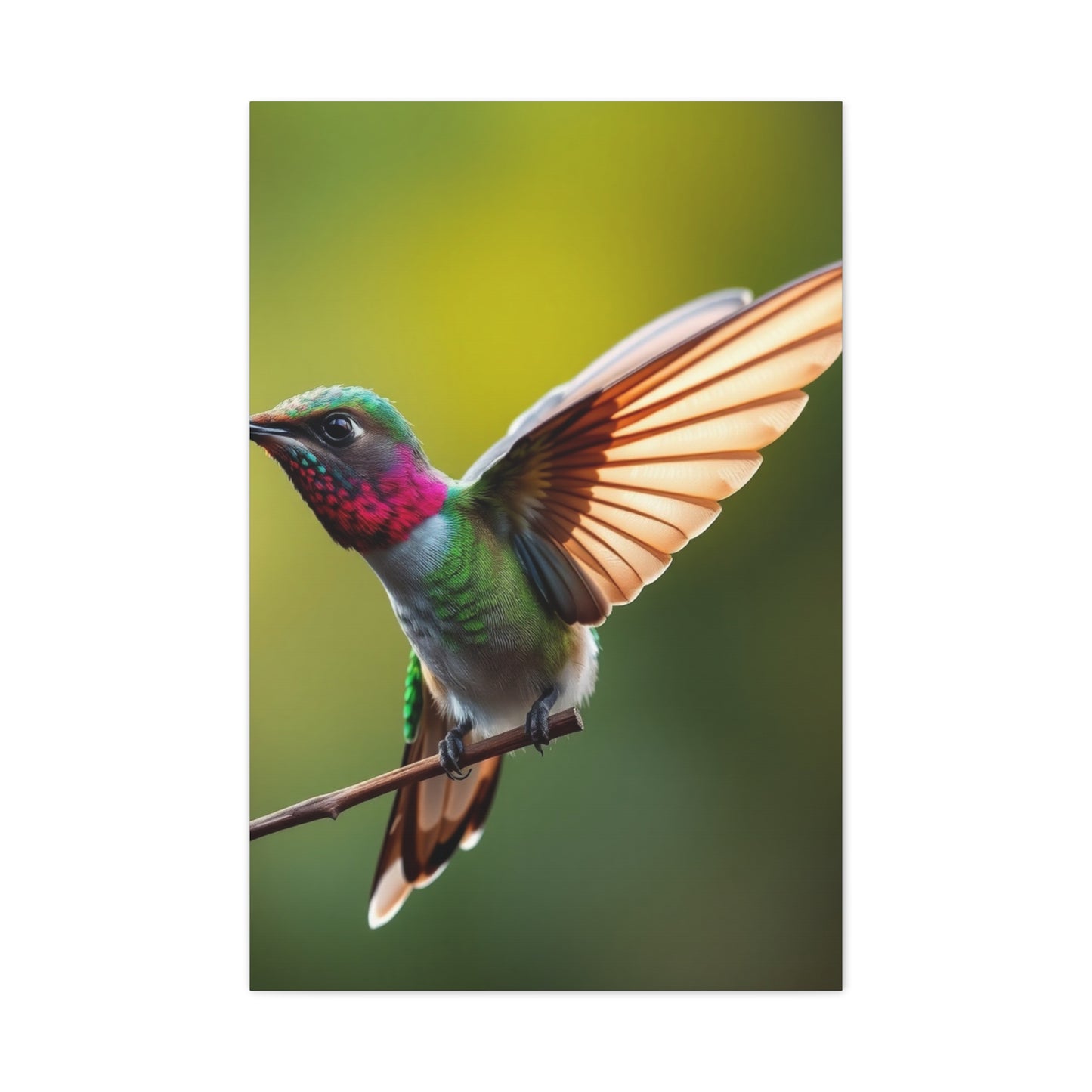 Collection Humming Bird Art Art Wall Art & Canvas Print