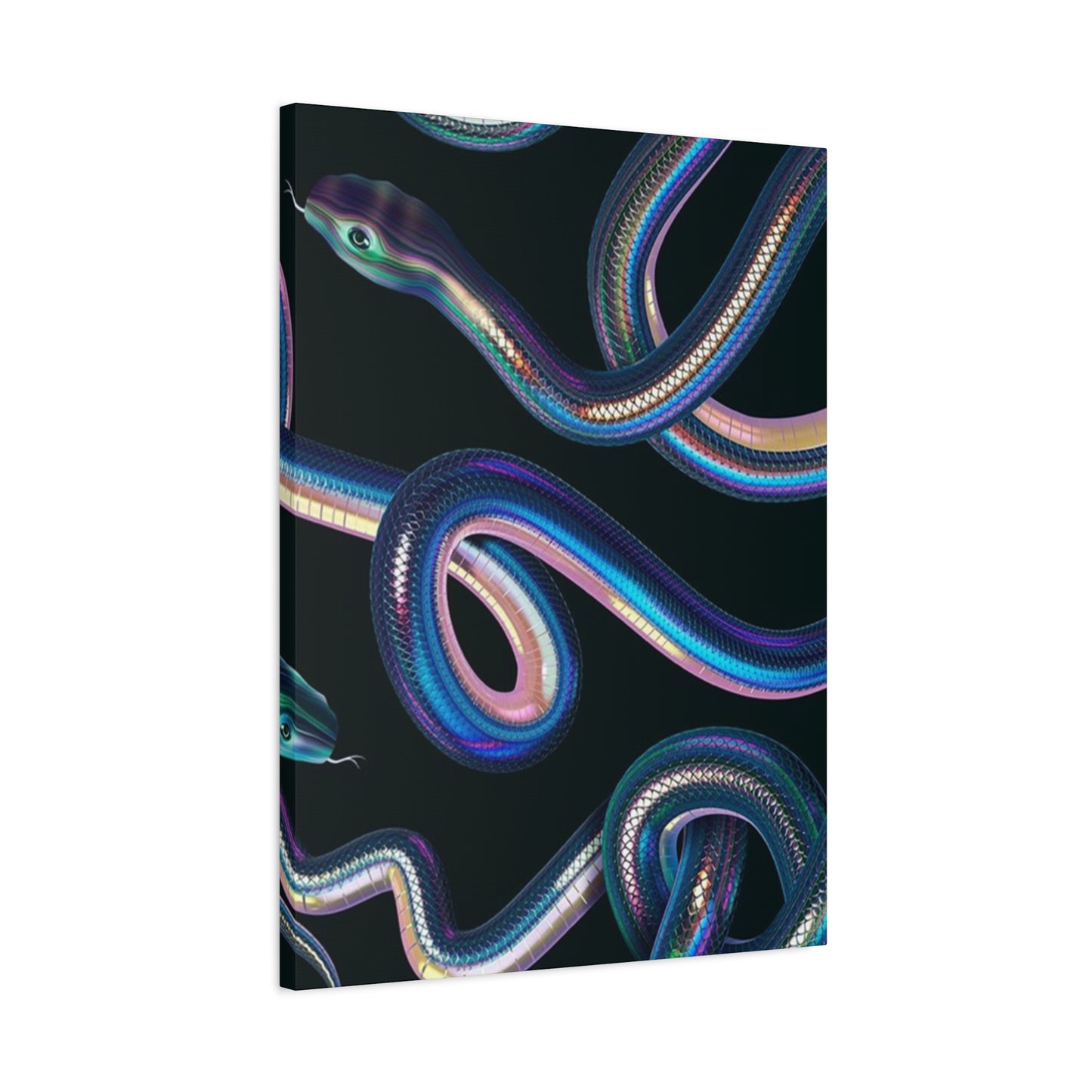 Snake On Black Canvas Wall Art & Canvas Prints