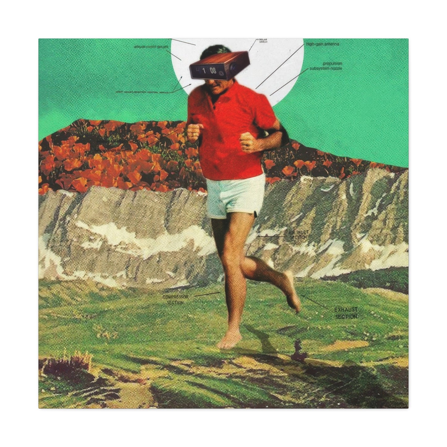 Frank Moth Sheeprunner Wall Art & Canvas Prints