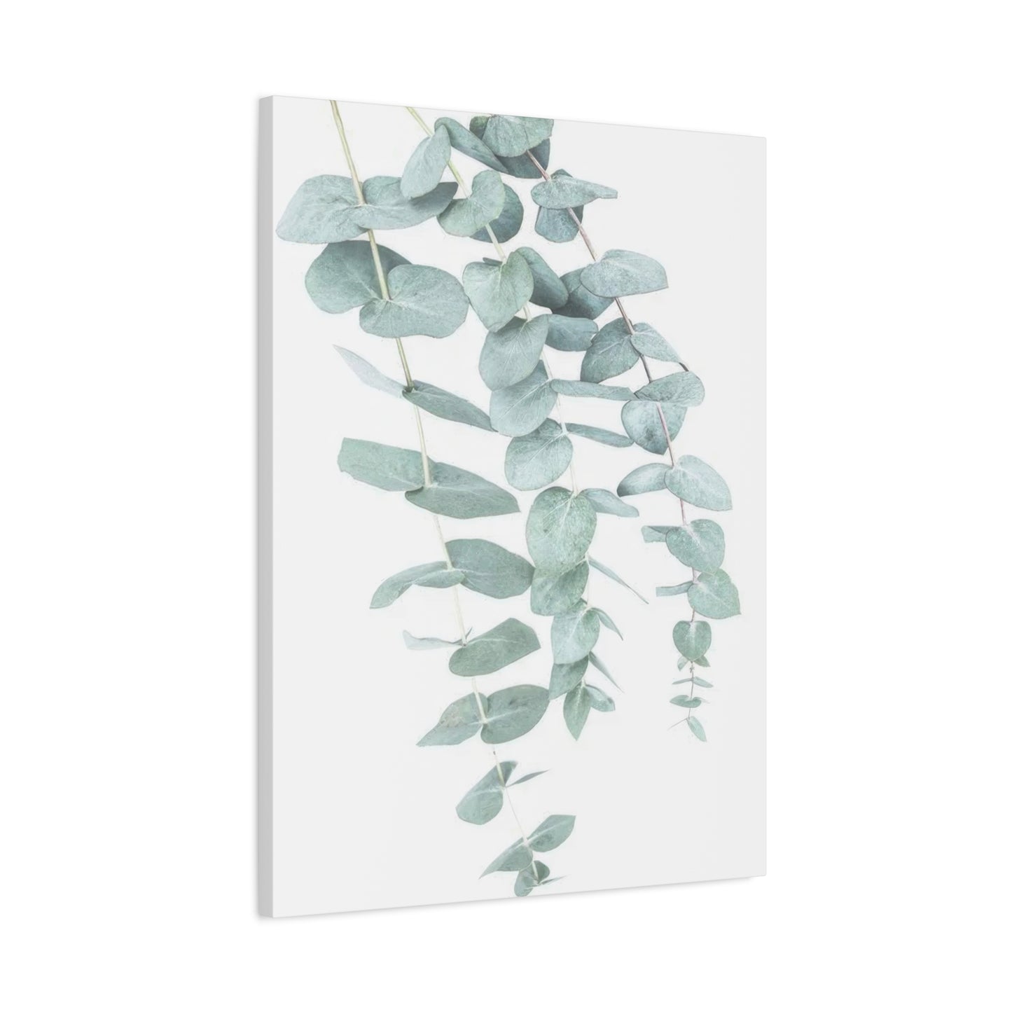 Kathrin Pienaar Eucalyptus Wall Art & Canvas Prints
