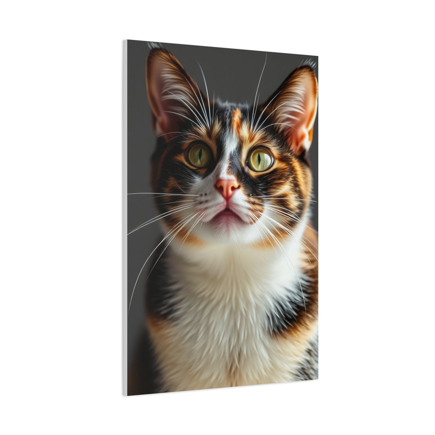 Vision Calico Cat Art Art Wall Art & Canvas Print
