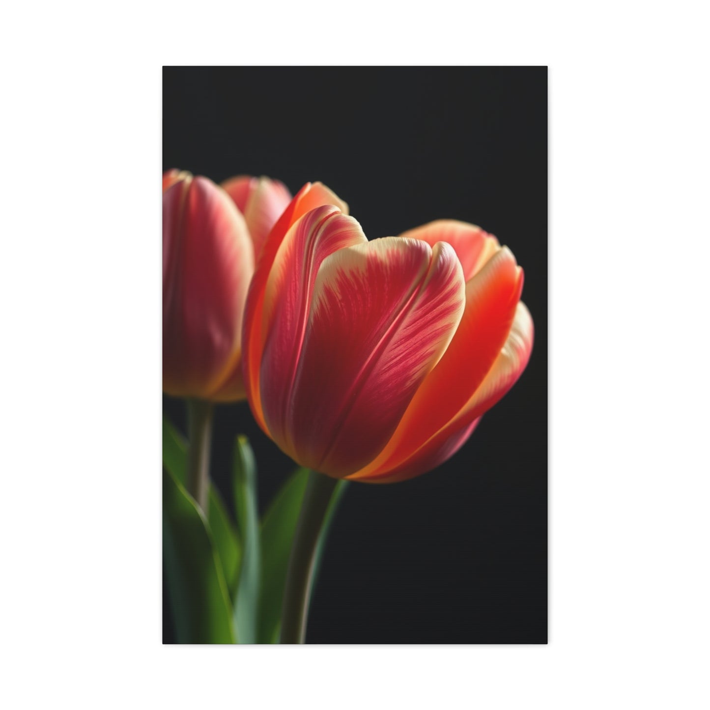 Tulip Flower Art Supreme Gallery Wall Art & Canvas Print