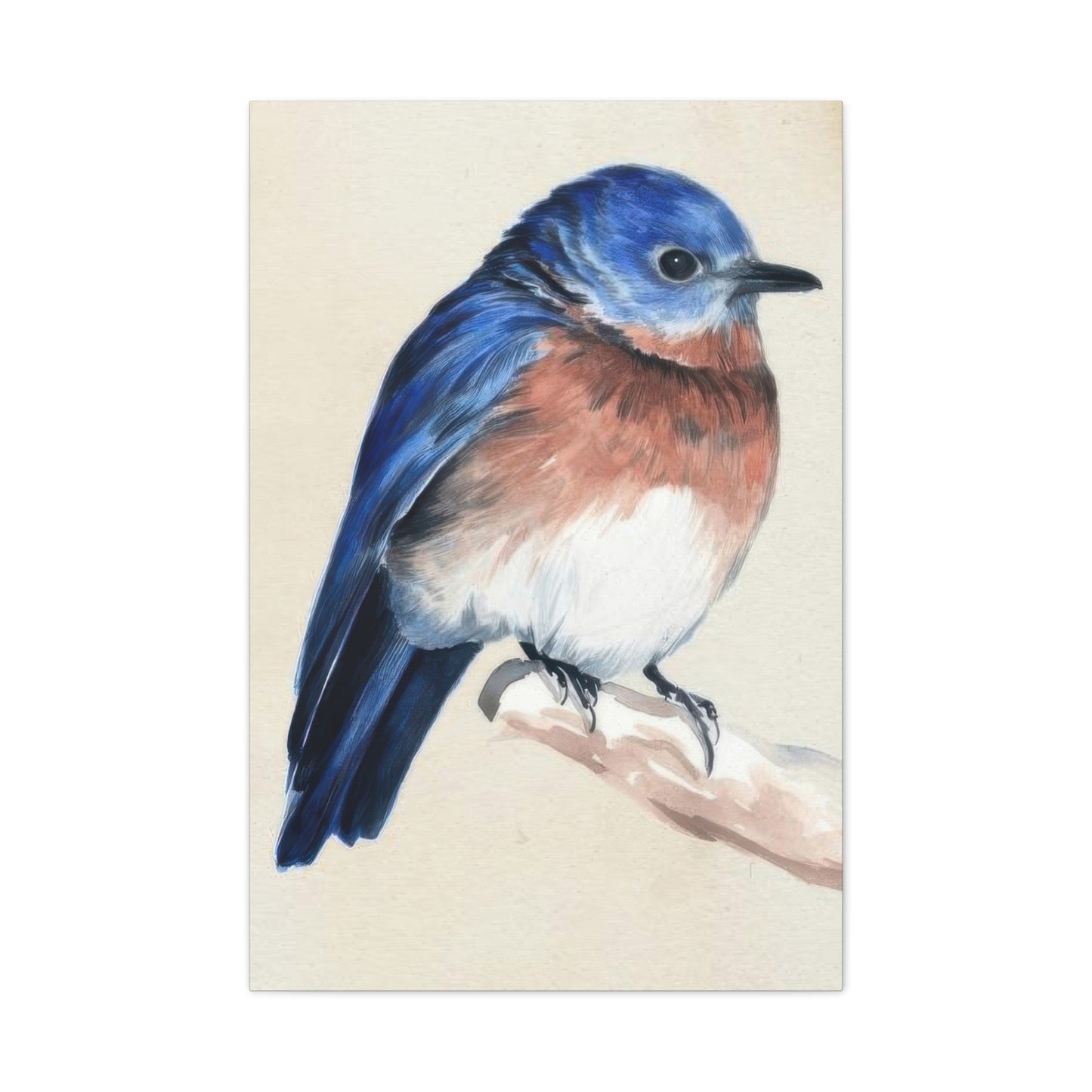 Jennifer Paxton Parker Little Bird On Branch 1 Wall Art & Canvas Prints