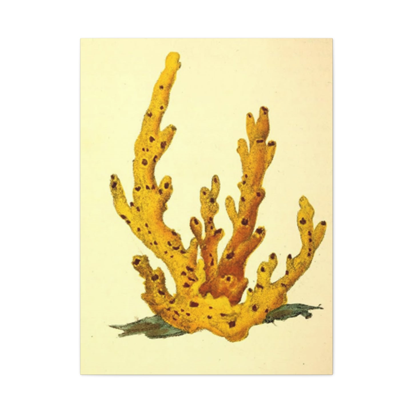 Yellow Shell Stem Painting Wall Art & Canvas Prints