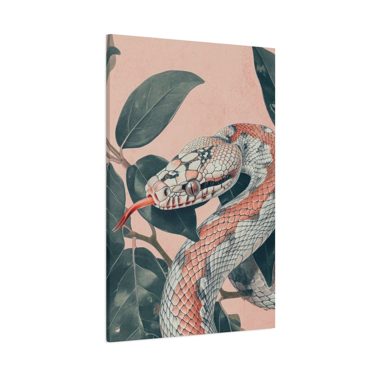 White And Pink Snake Wall Art & Canvas Prints