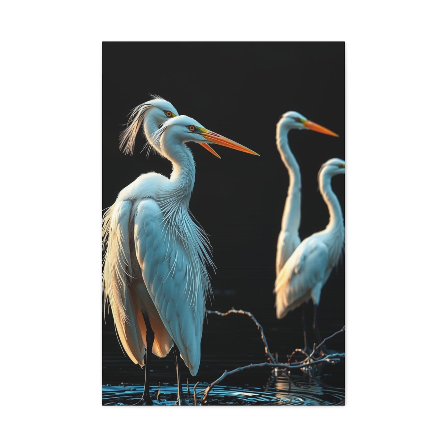 Collection Herons and Egrets Art Art Wall Art & Canvas Print