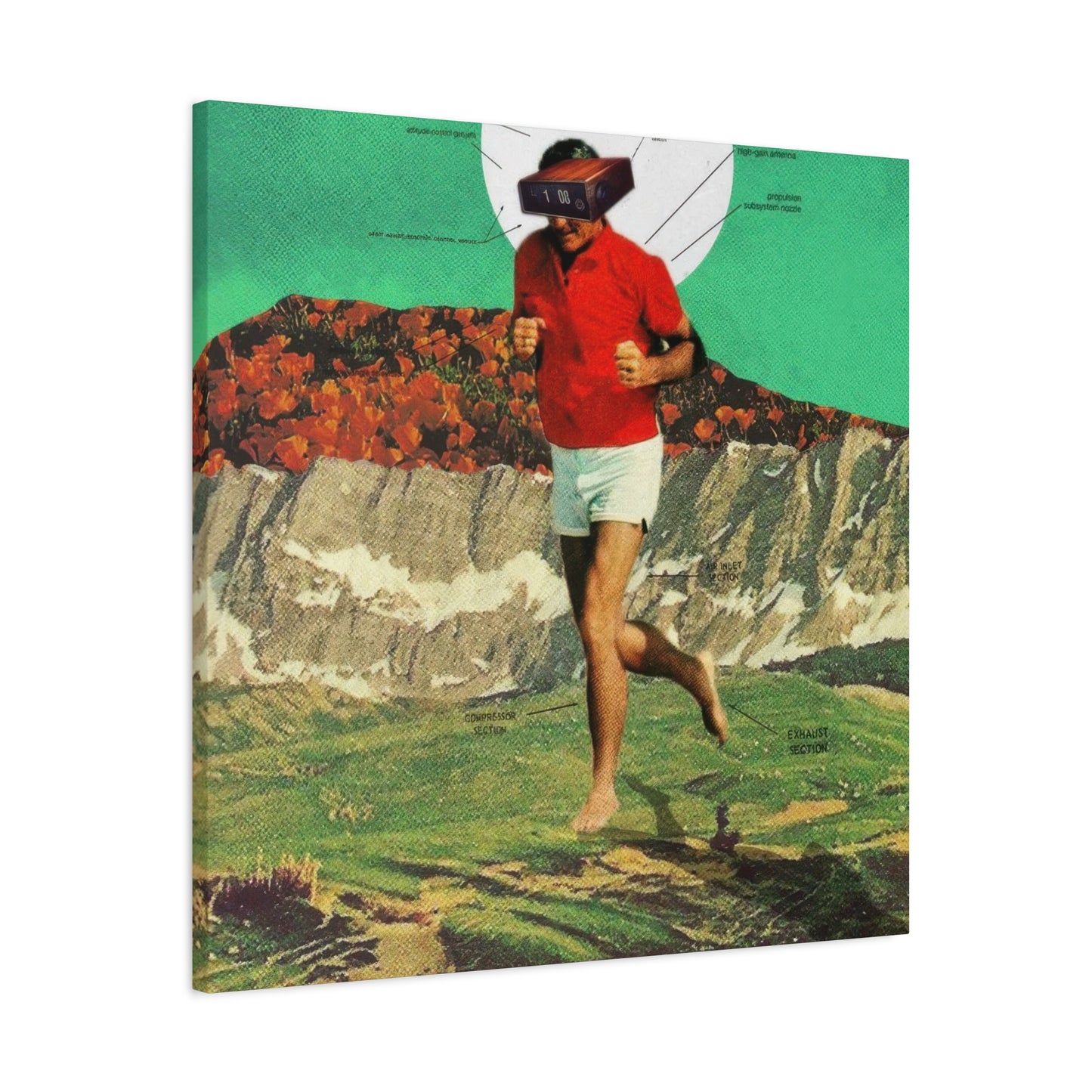 Frank Moth Sheeprunner Wall Art & Canvas Prints
