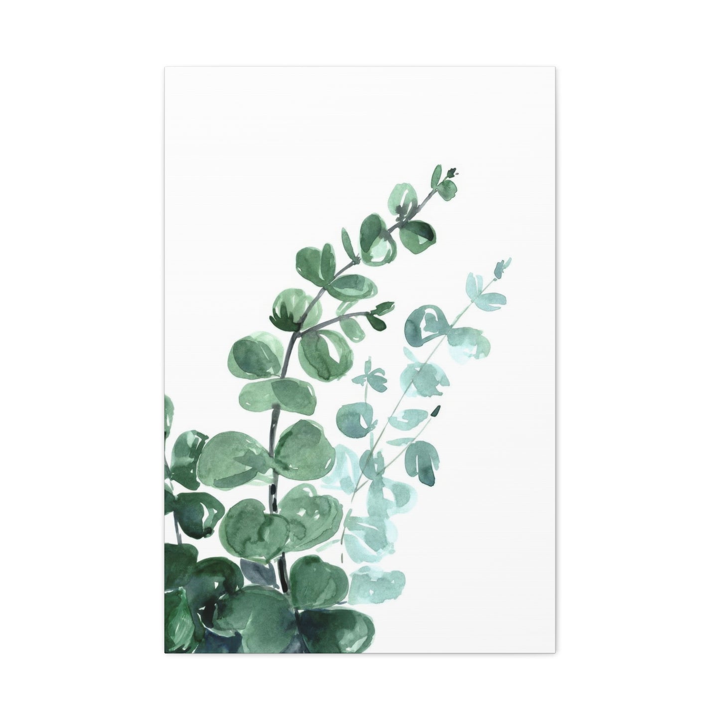 Eucalyptus Emerging Bottom Left Wall Art & Canvas Prints