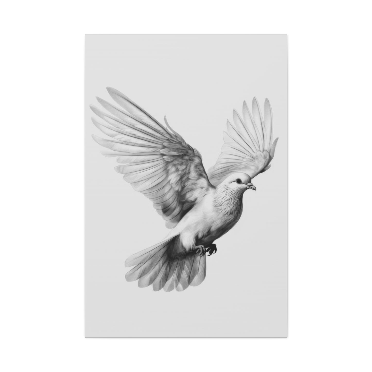 Dove Grey Wall Art & Canvas Prints